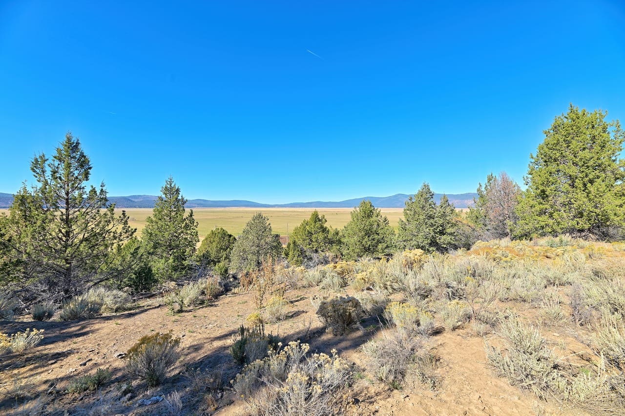 Listing Image 56