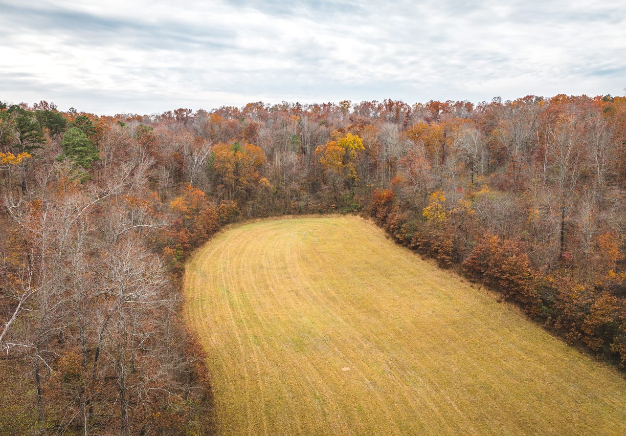 Listing Image 9