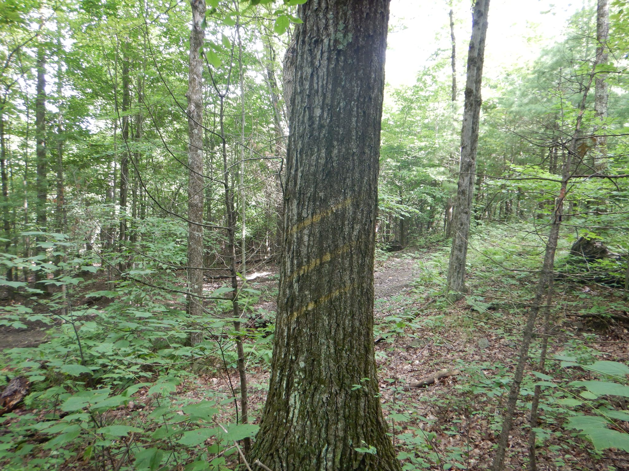 Listing Image 27