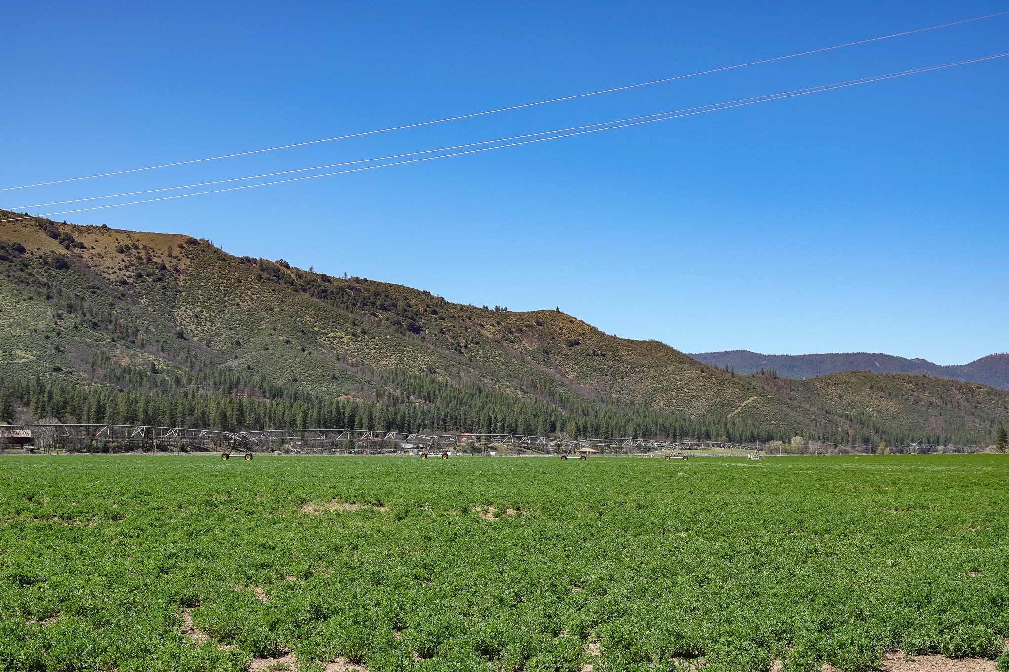 Kraus and Sons Ranch