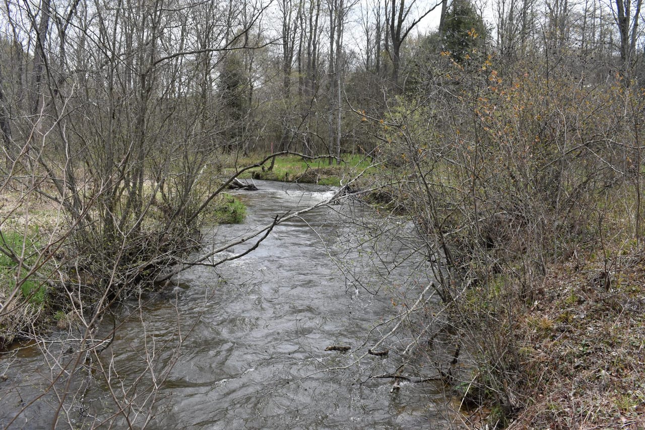 Salmon Creek