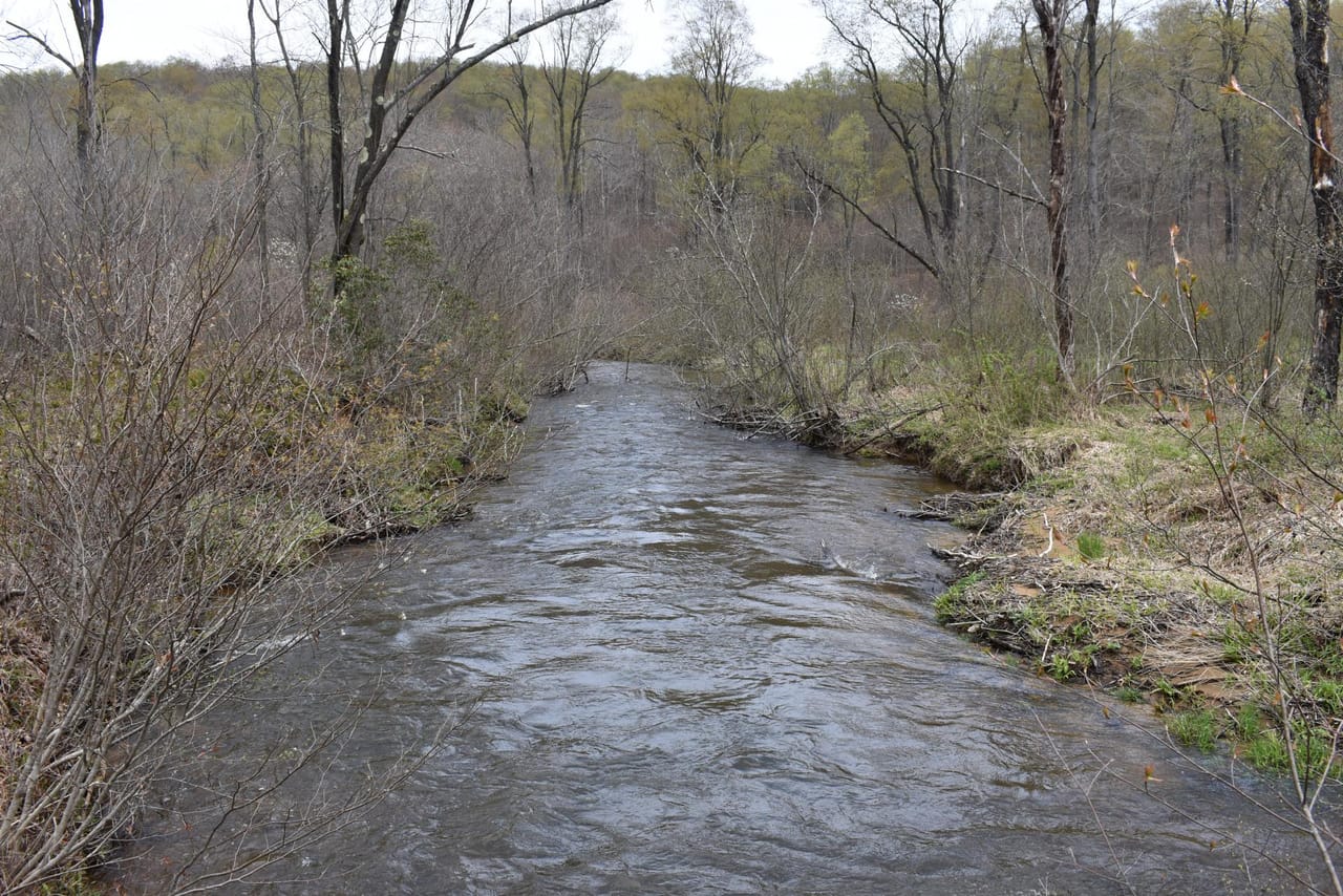 Salmon Creek