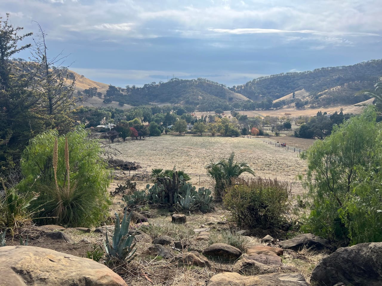 Listing Image 10