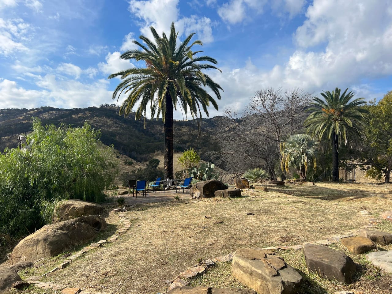 Listing Image 11