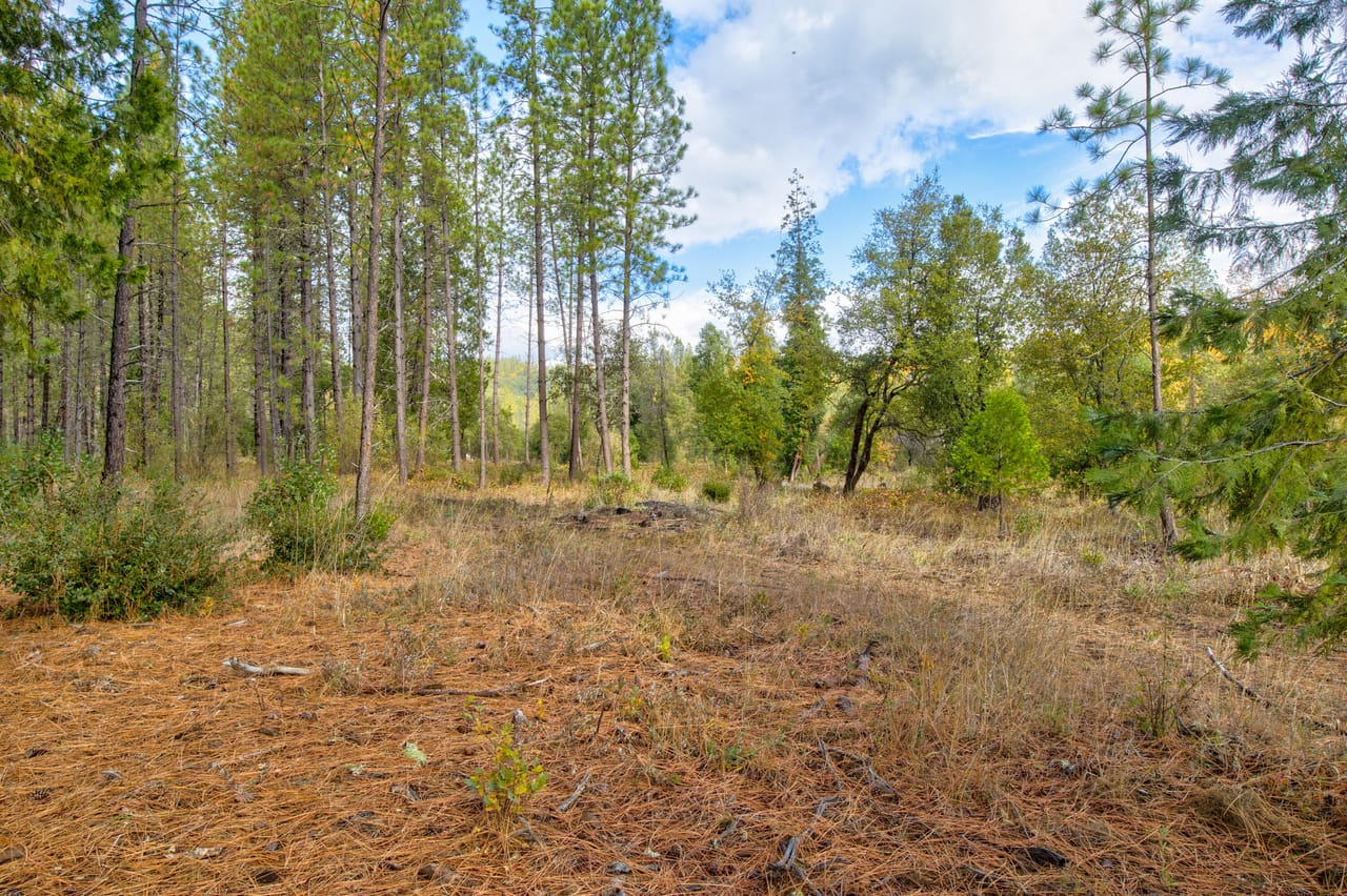 Listing Image 59