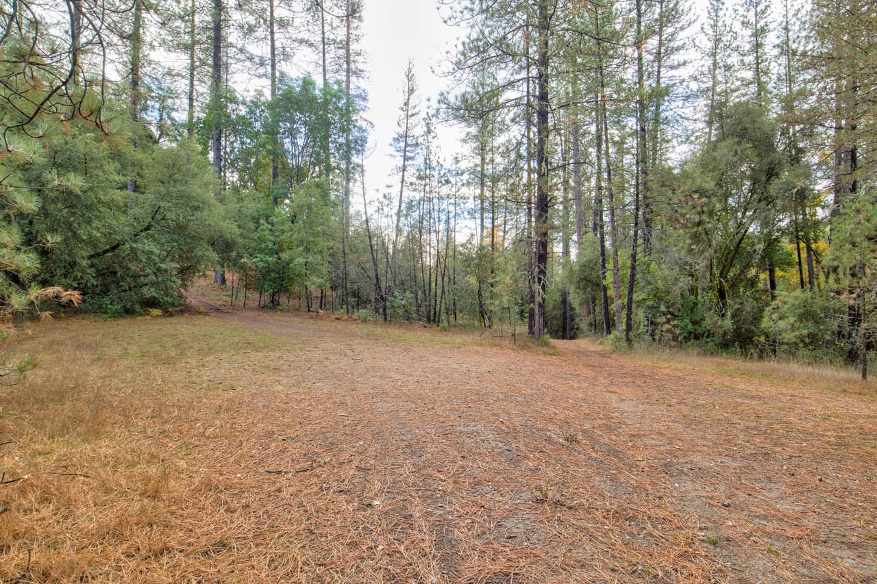 Listing Image 17