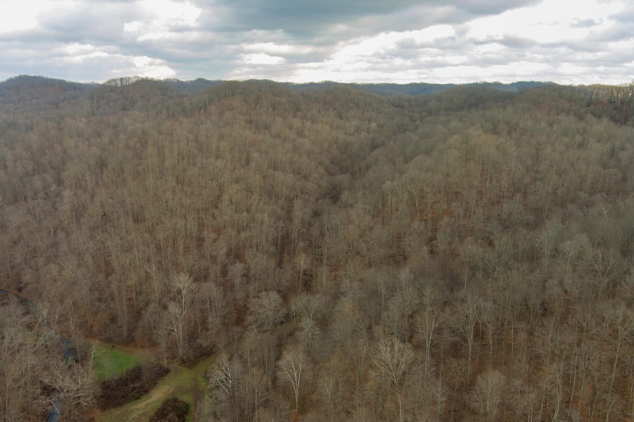 Listing Image 13