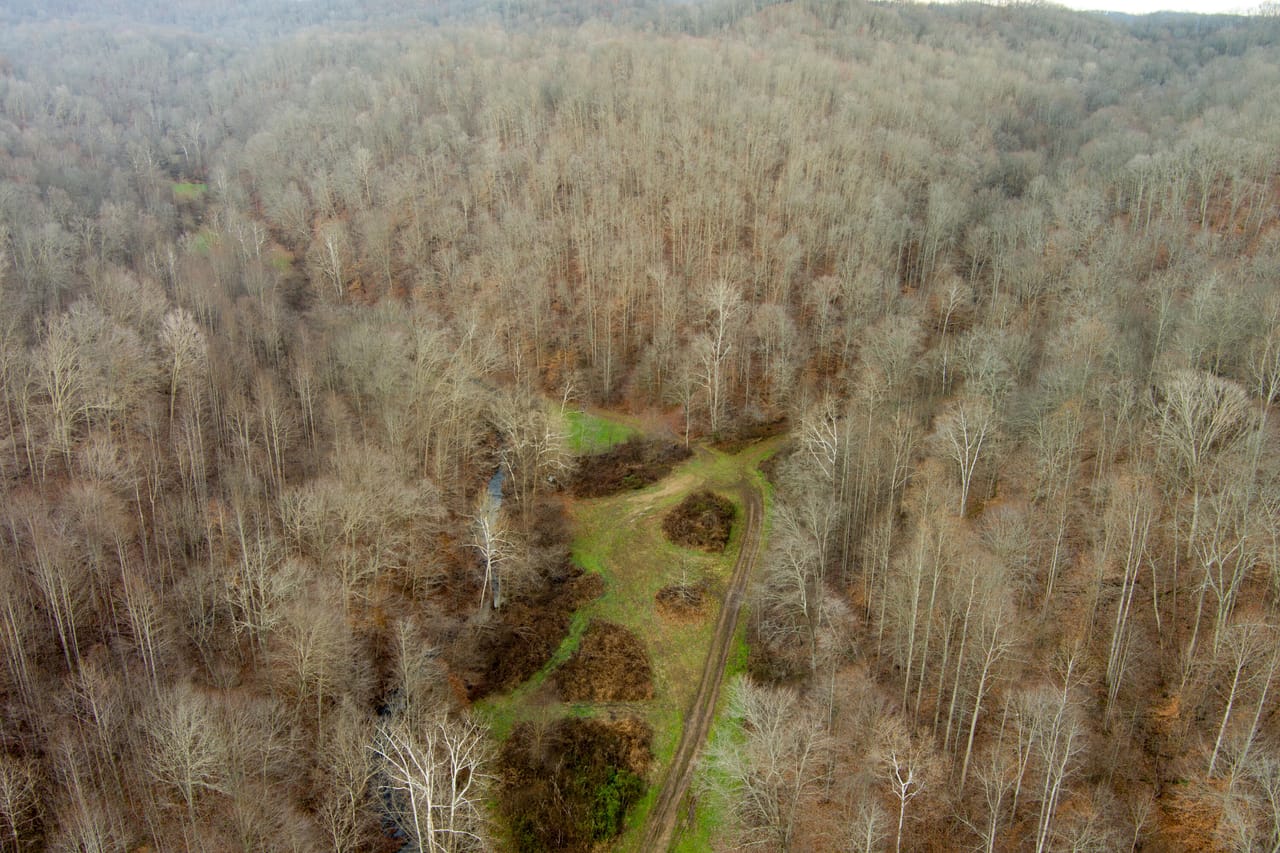 Listing Image 42