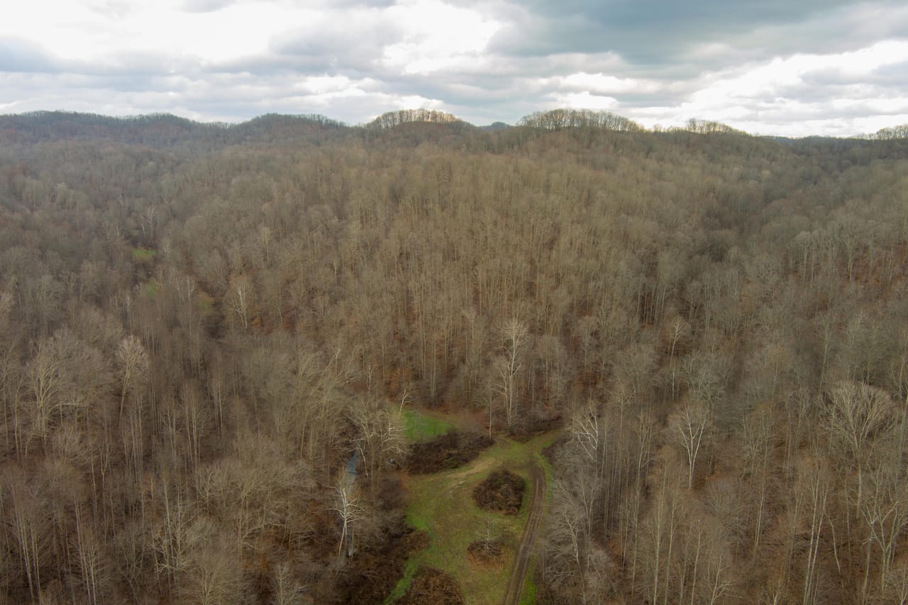 Listing Image 6
