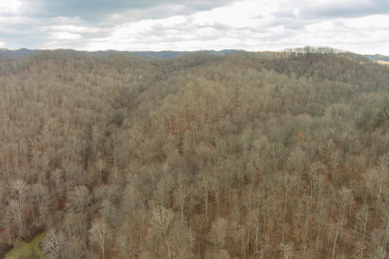 Listing Image 17