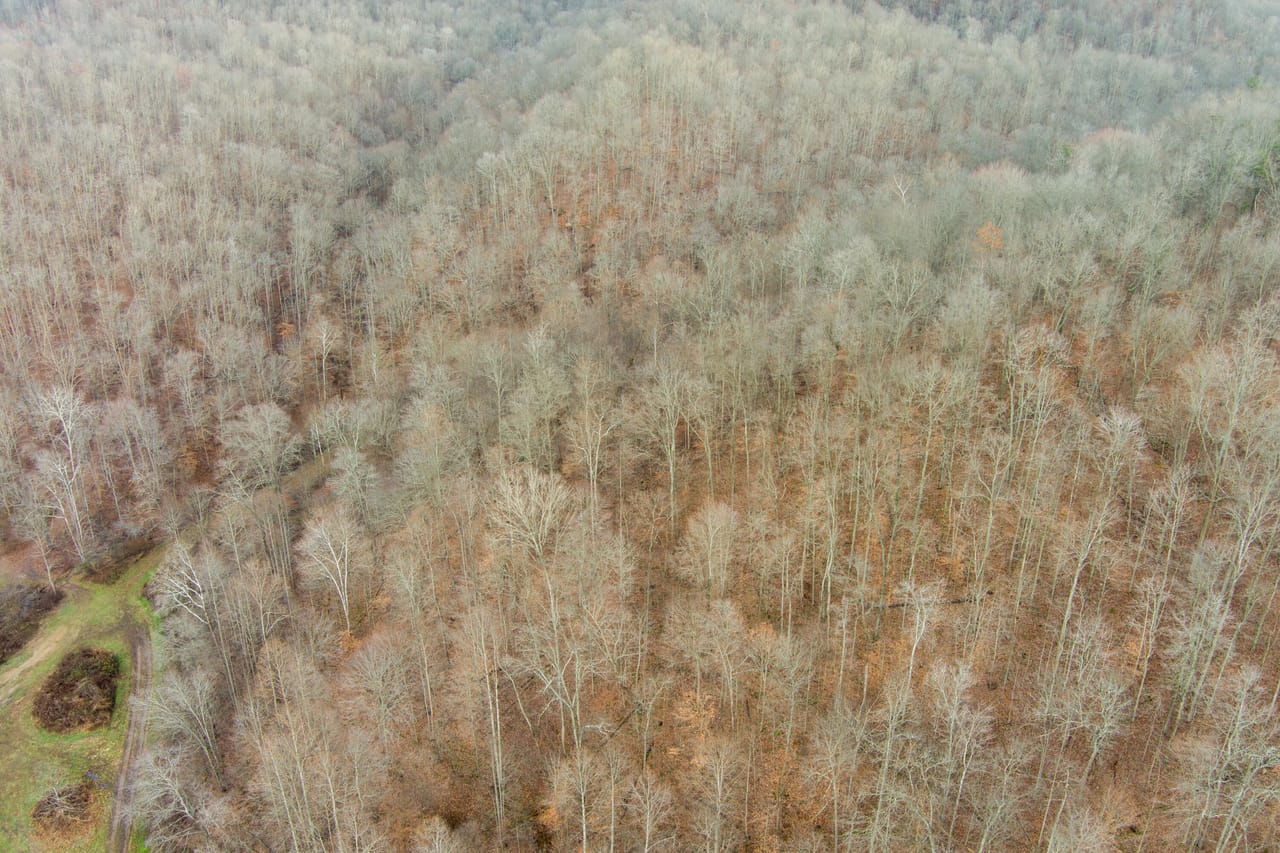 Listing Image 18