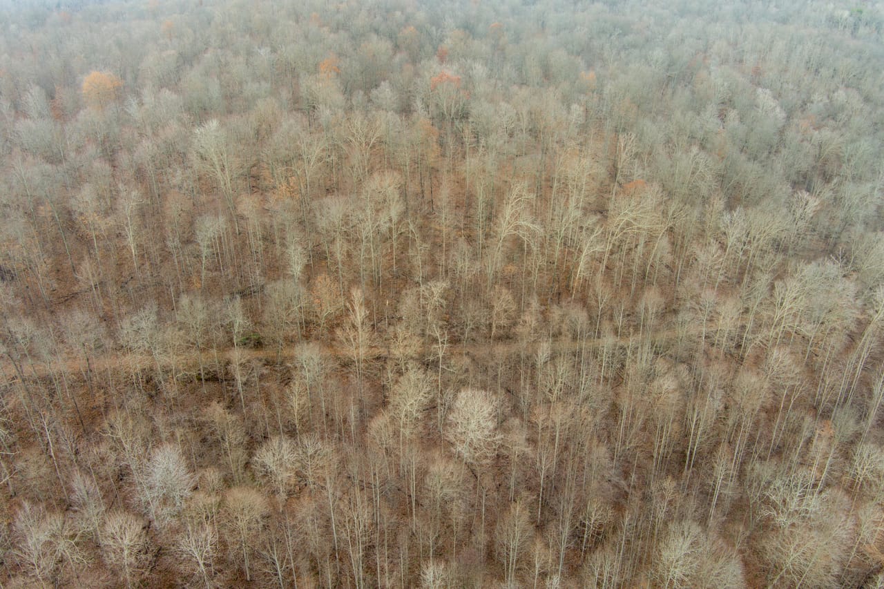 Listing Image 25