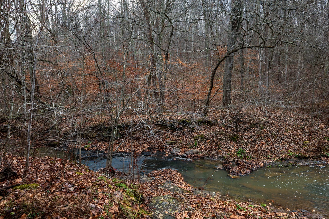 Listing Image 36