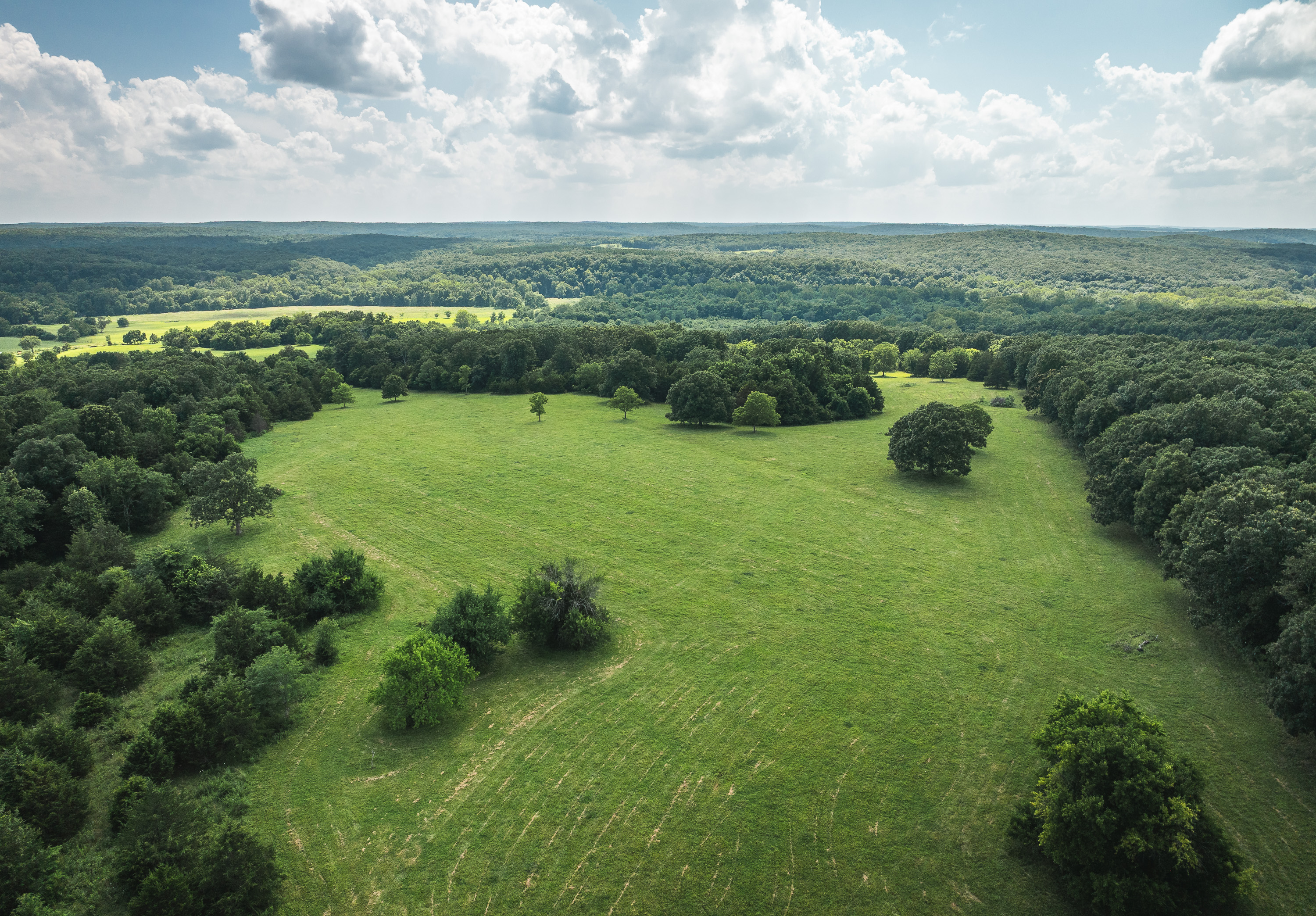 Gasconade Angus Ranch
