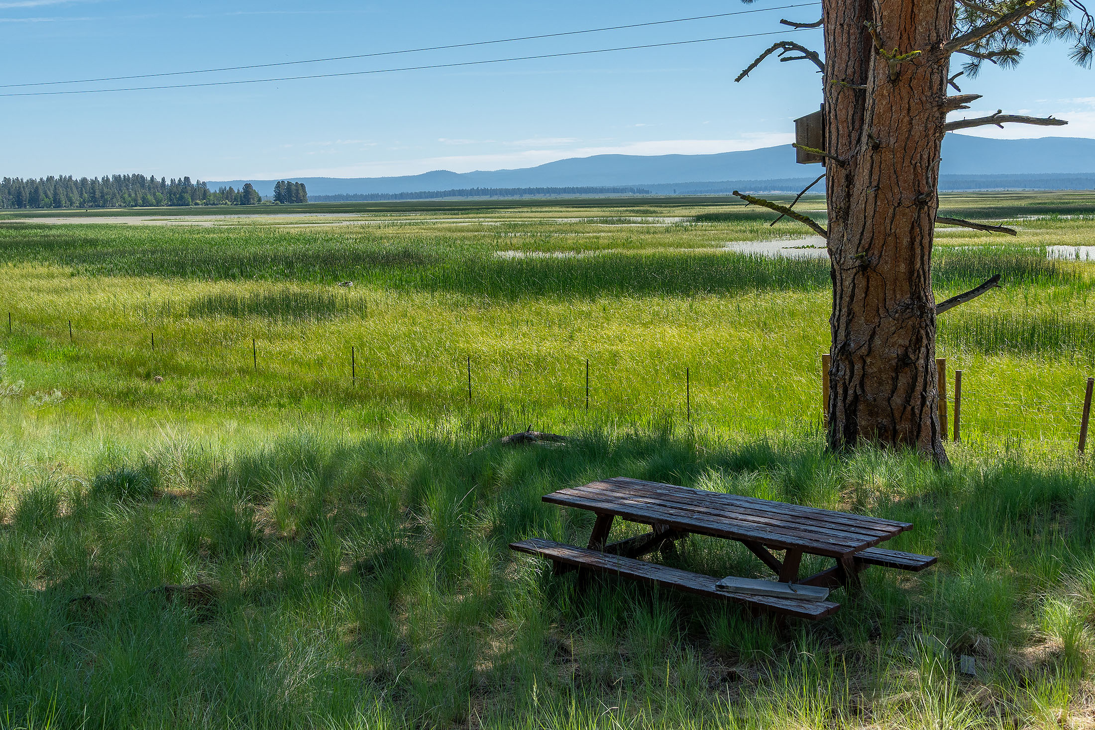 Klamath Marsh Retreat