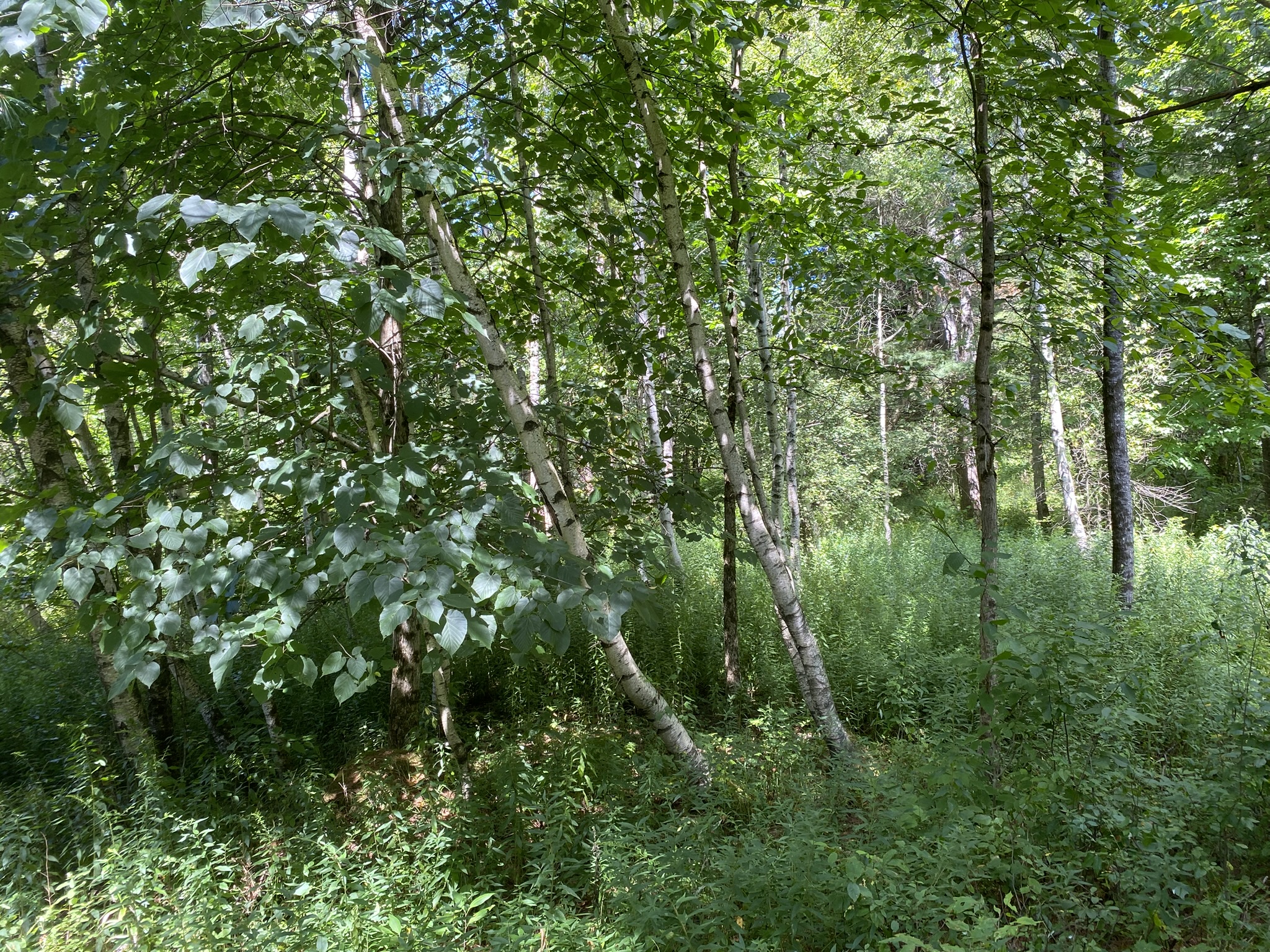 Plumb Brook Country Retreat