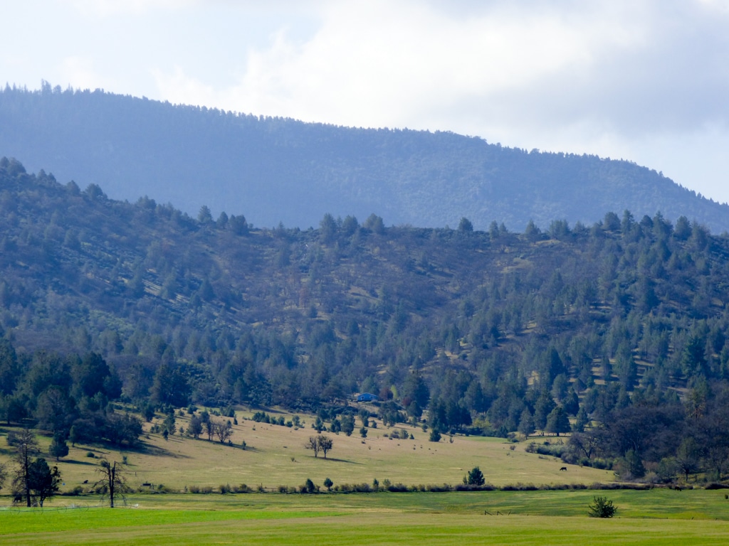 Blacktail Hills Retreat