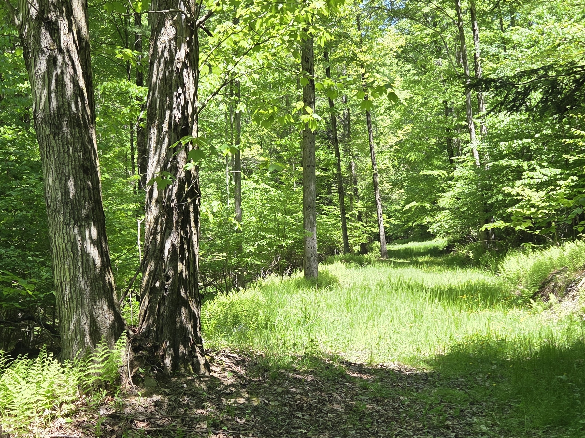 Listing Image 37