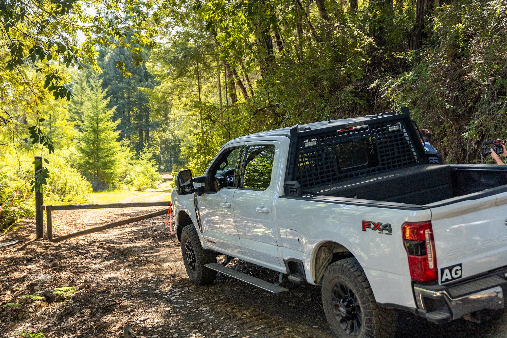Redwood 1