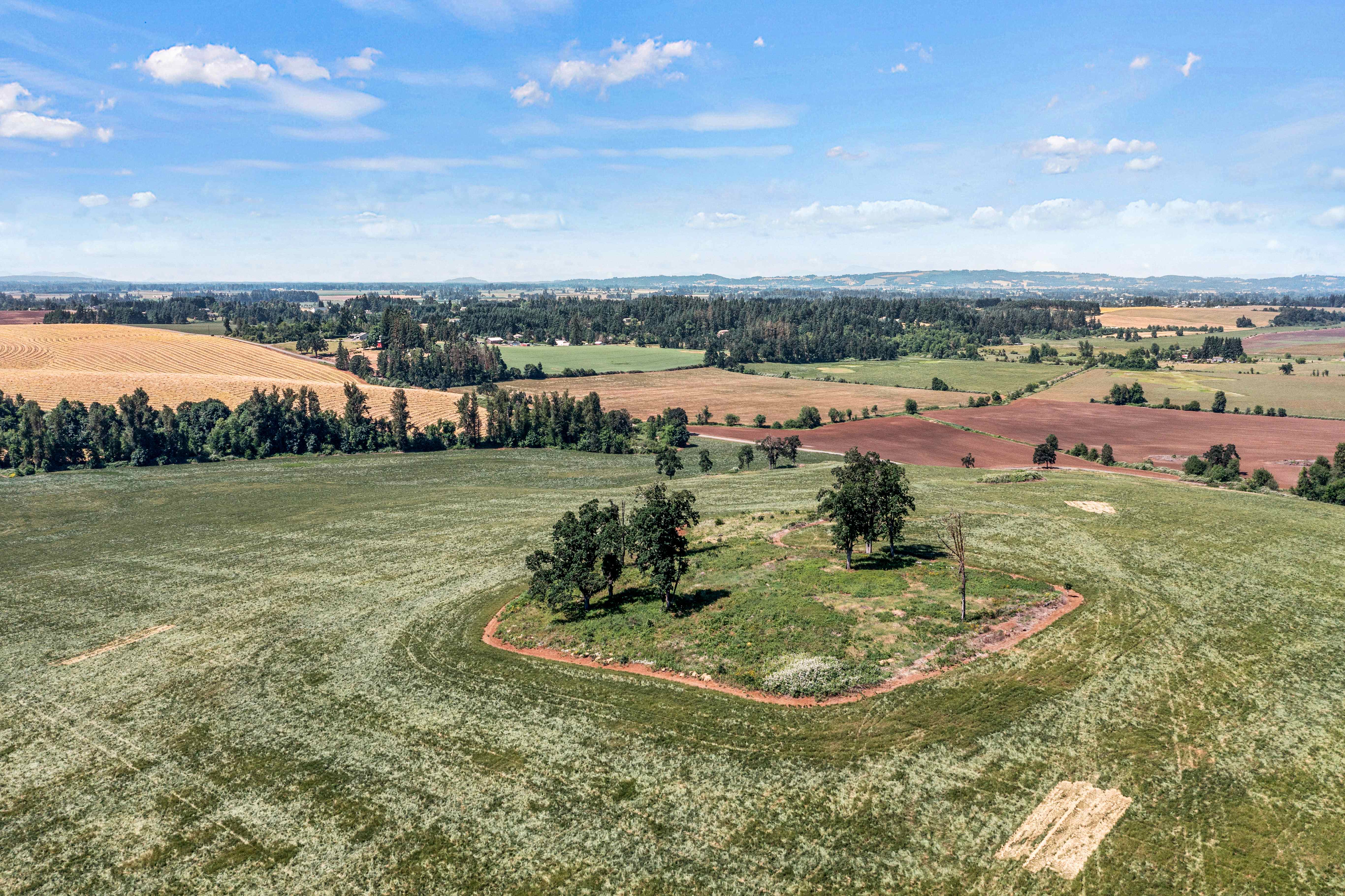 Sublimity 152 — Productive Willamette Valley Farm for Sale with Creek Frontage and Homesite Potential