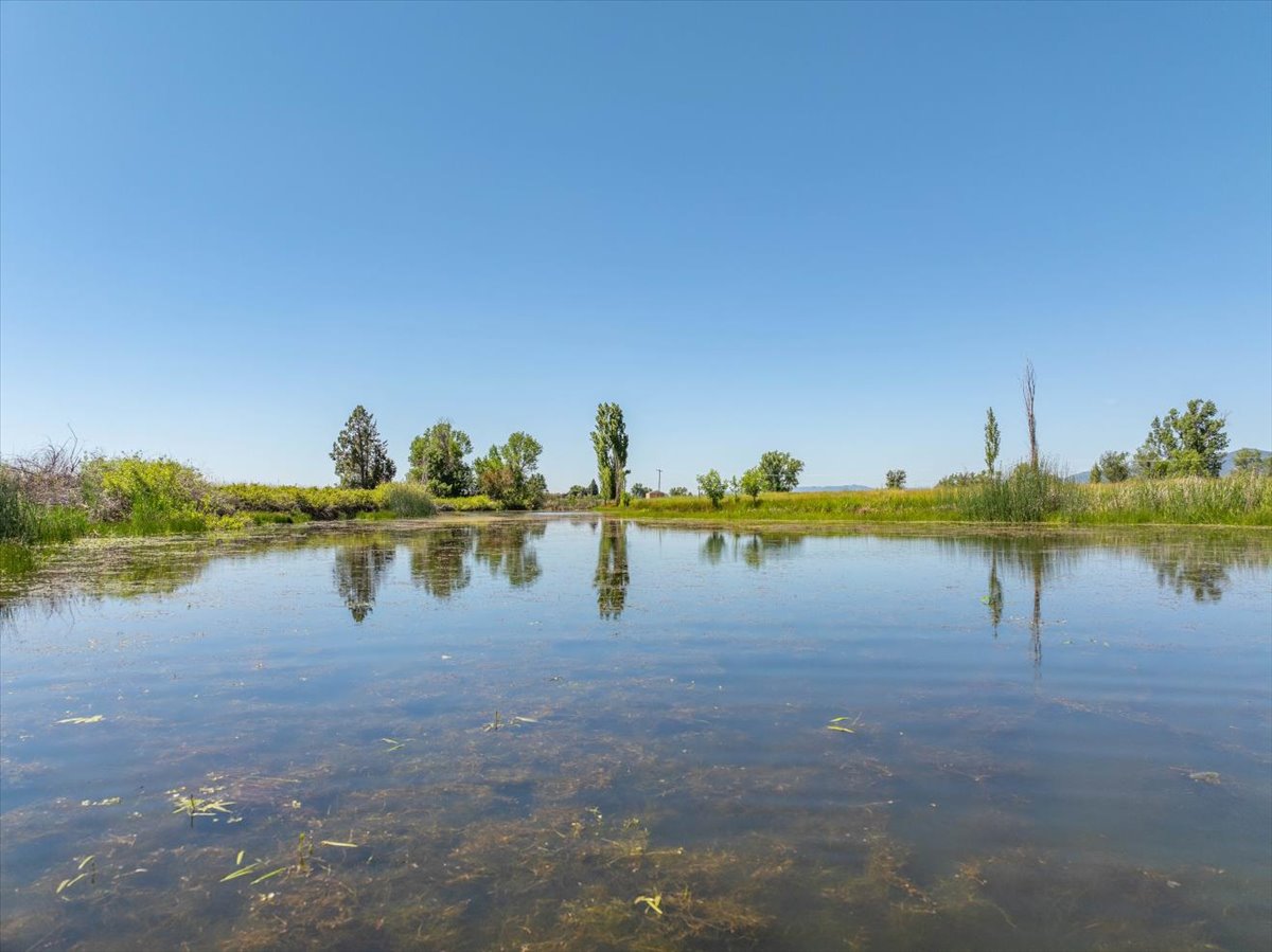 Mystic Mountain Ranch