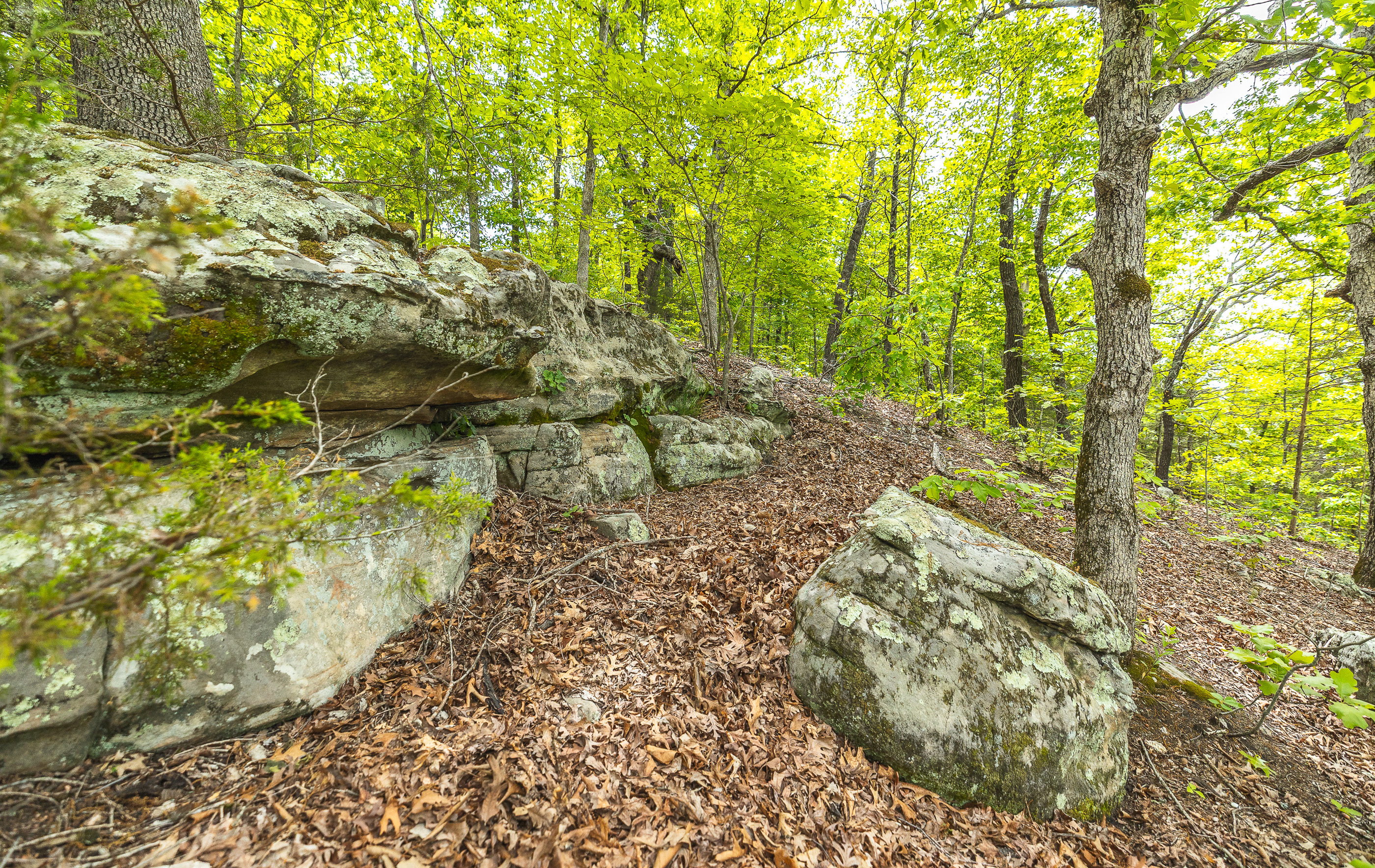 Waters Edge on the Gasconade River Tract 1