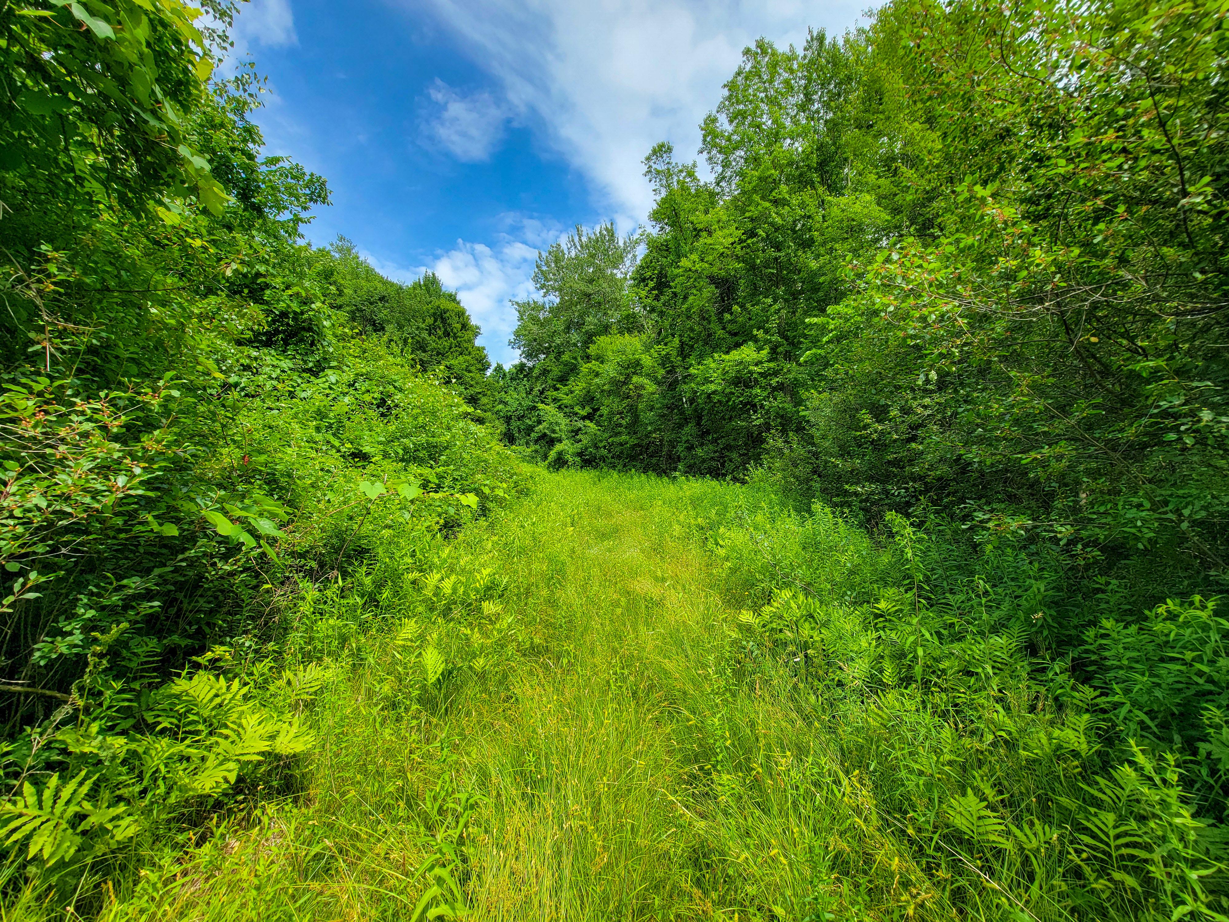 1073 Chapel Rd - Bennington
