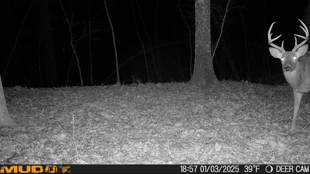 Listing Image 26