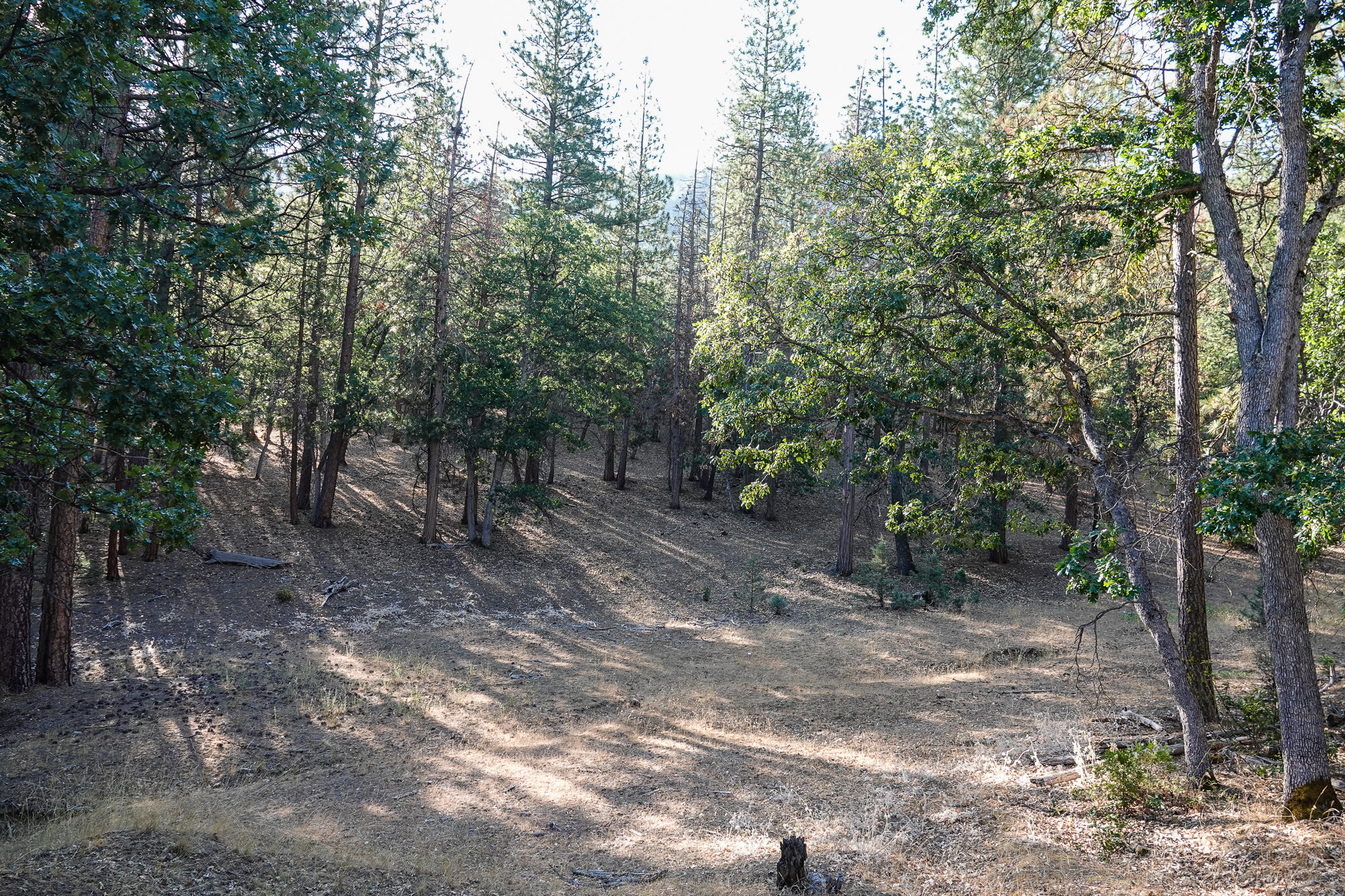 East Road Ragland Gulch Acreage