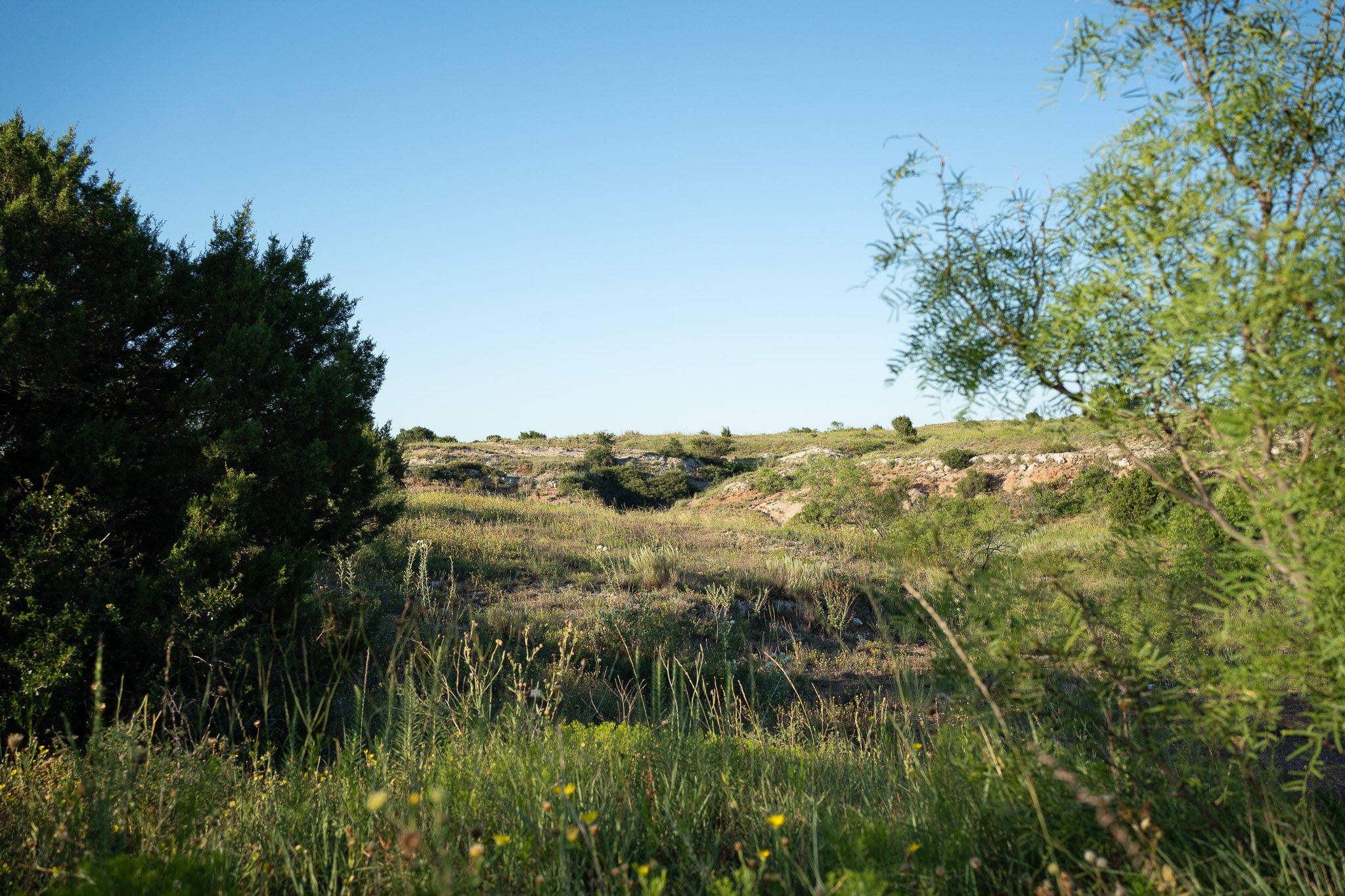 Miller Land & Cattle, LTD