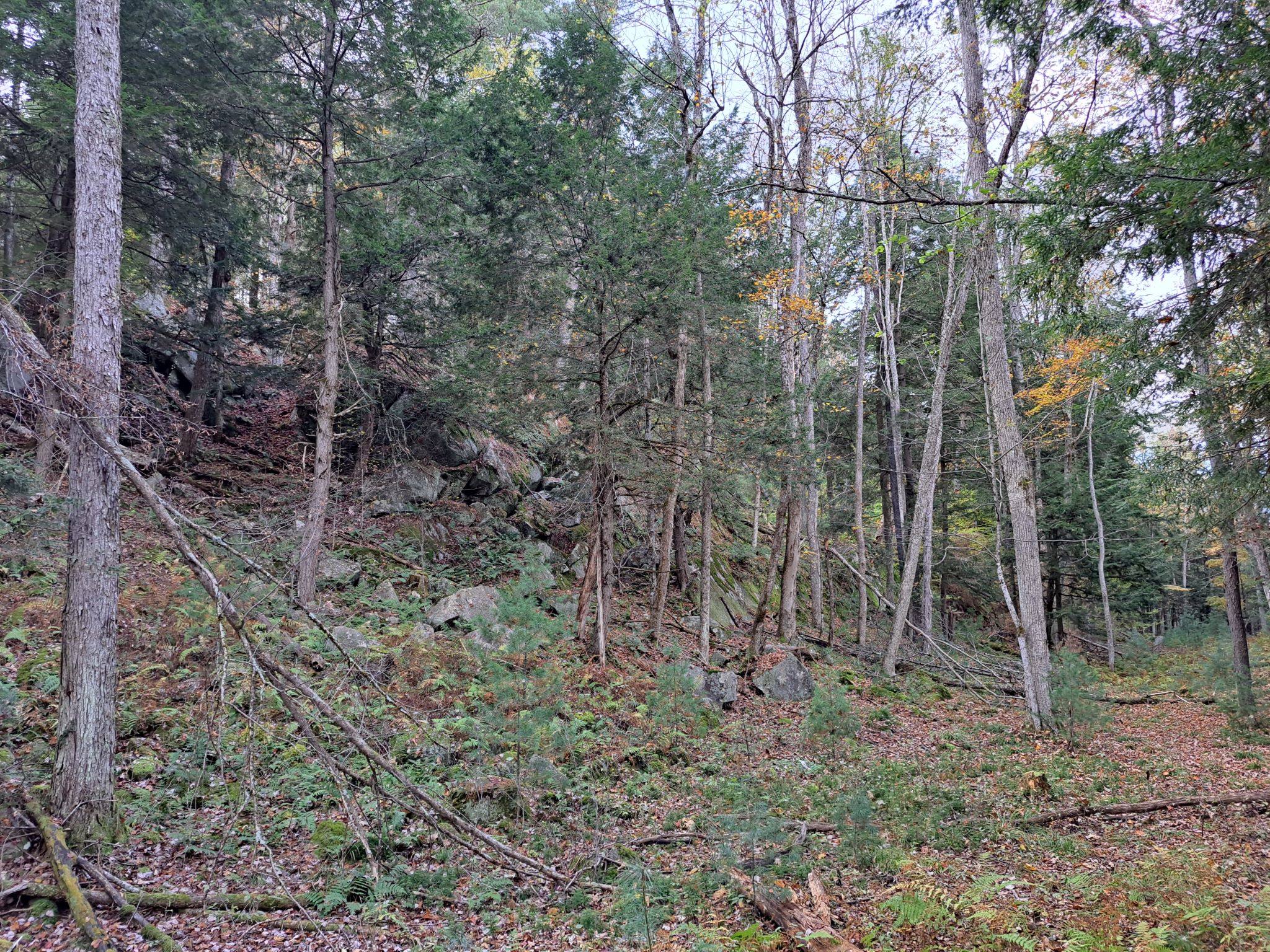 Hudson River Woods & Water