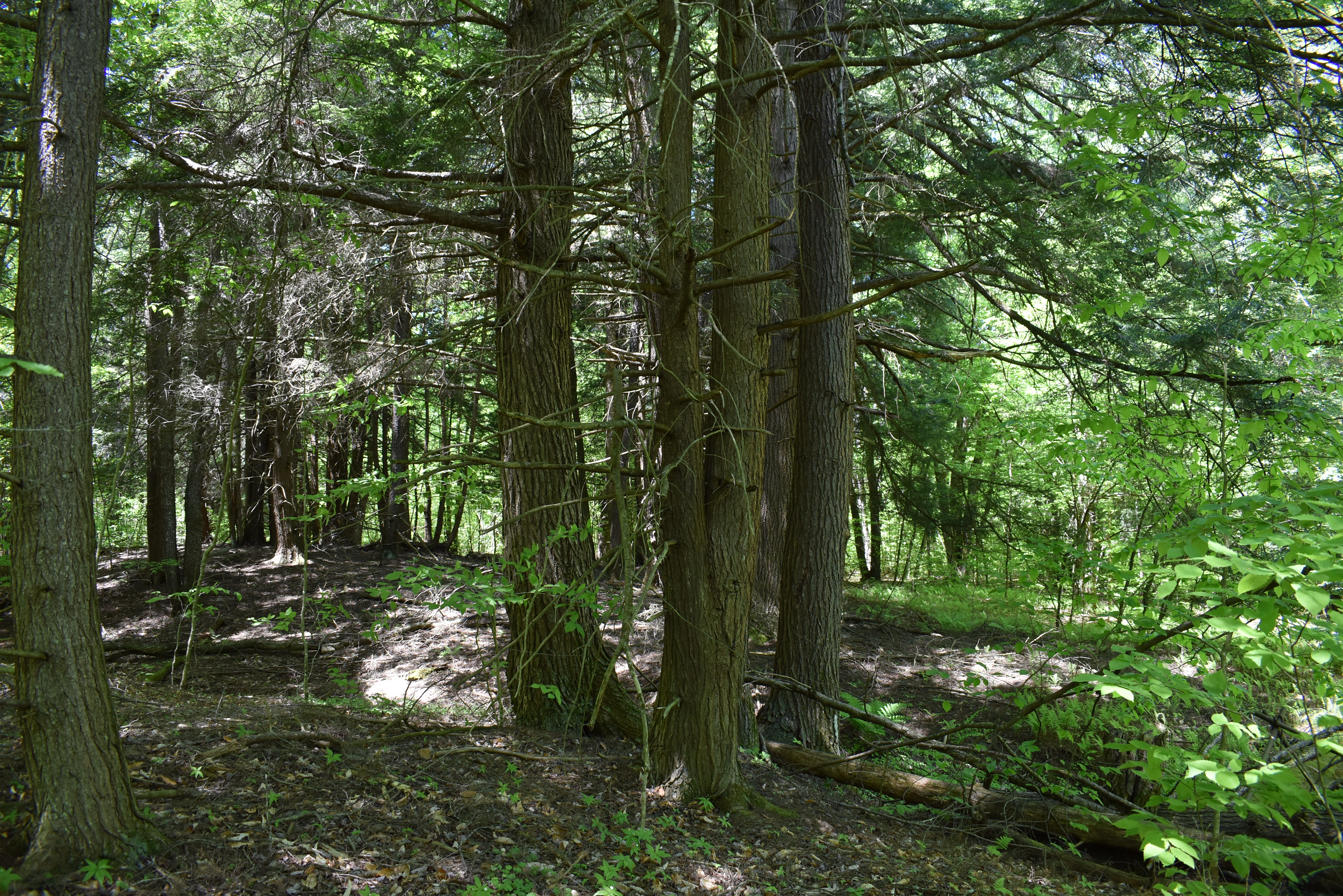 Listing Image 38