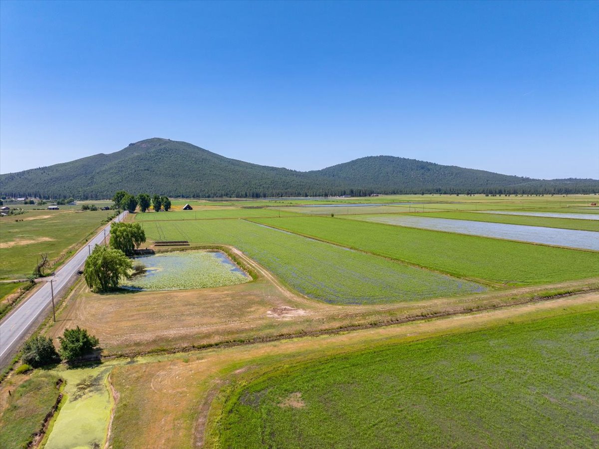 Listing Image 88