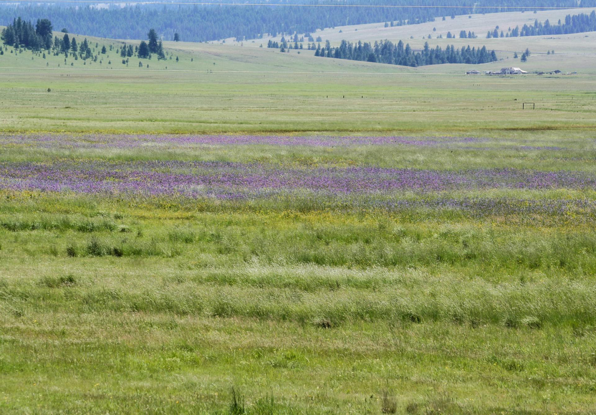 Listing Image 62