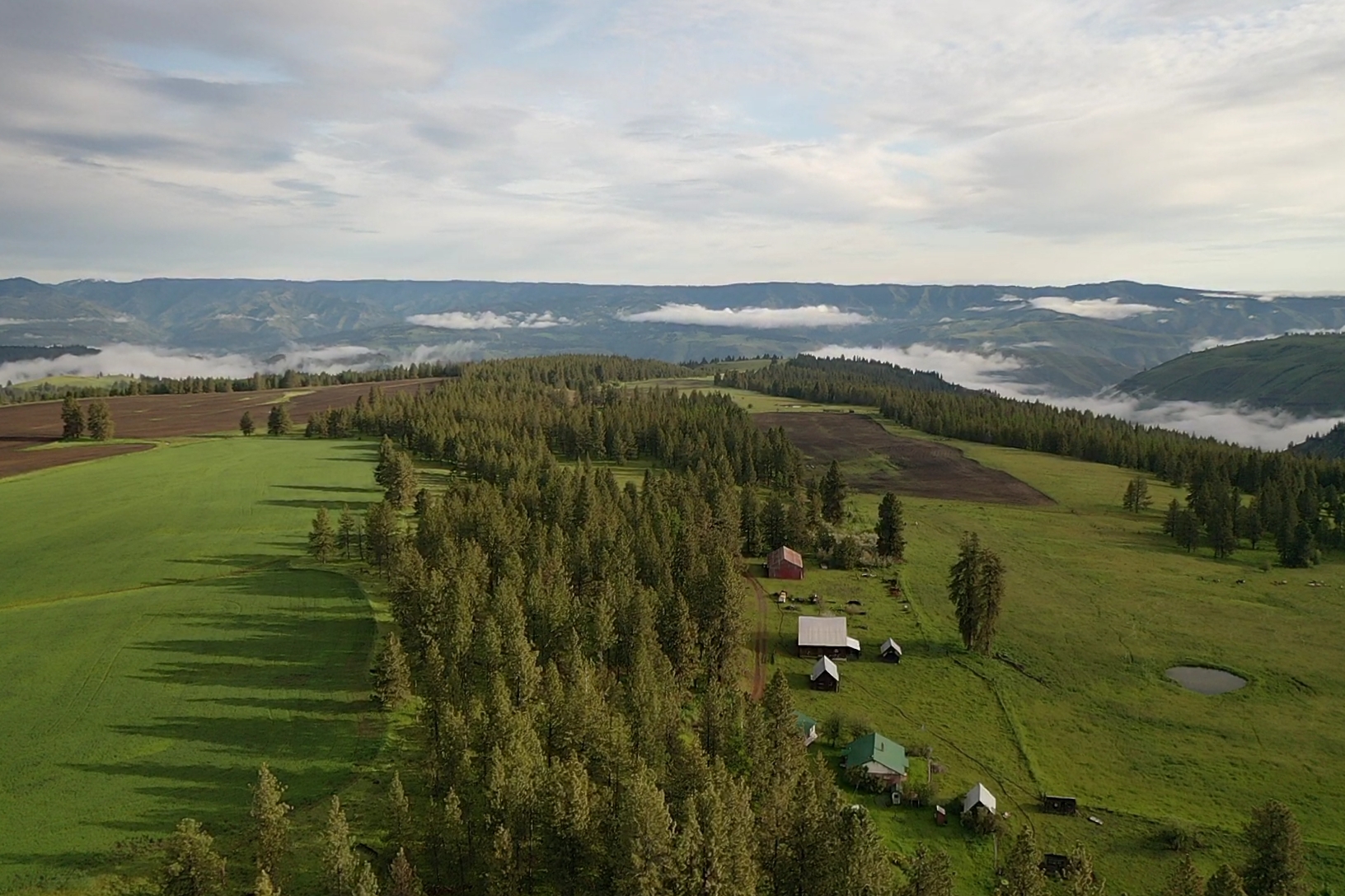 Buford Ridge Ranch