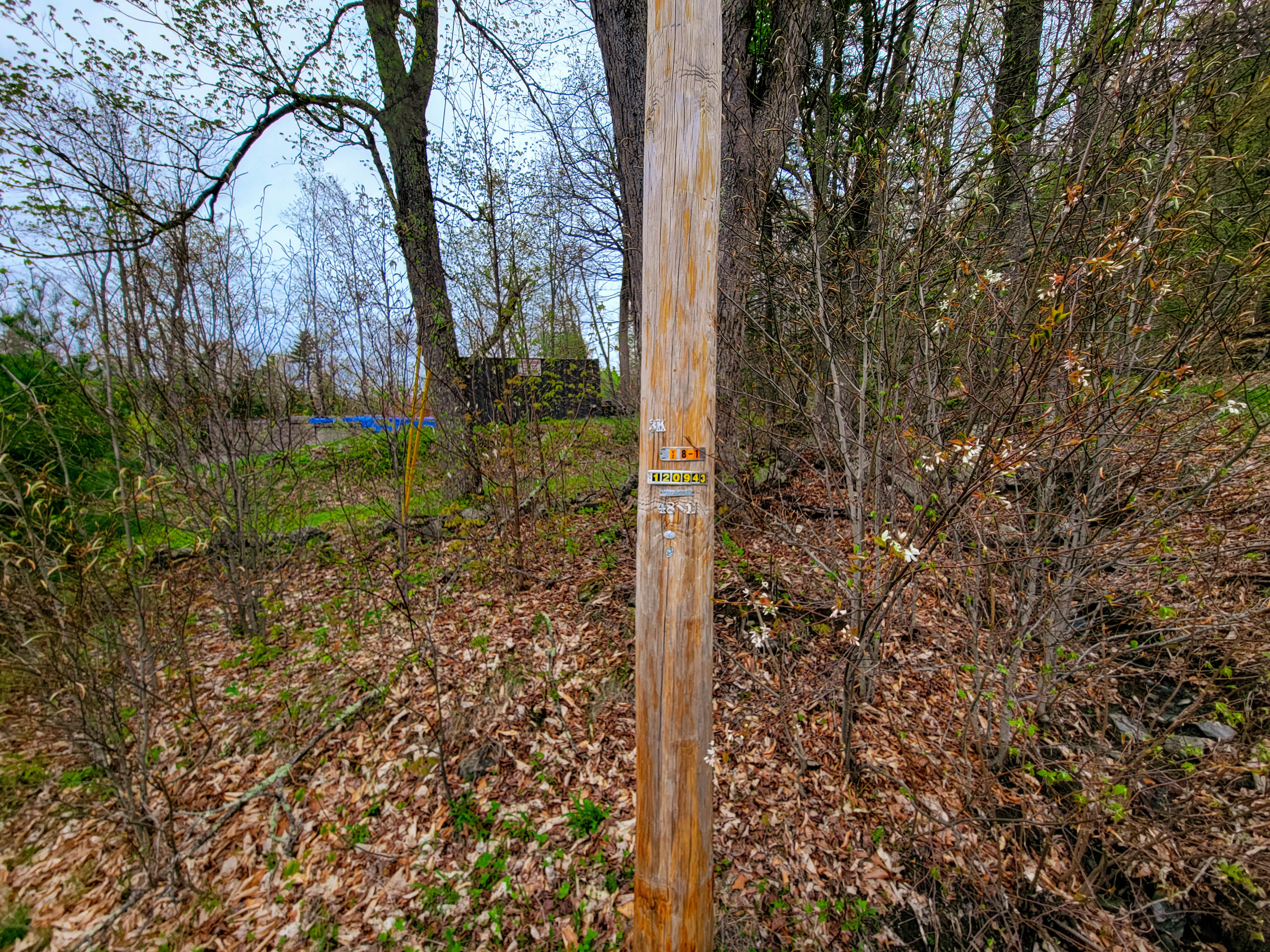 855 Campbell Rd - Waterford