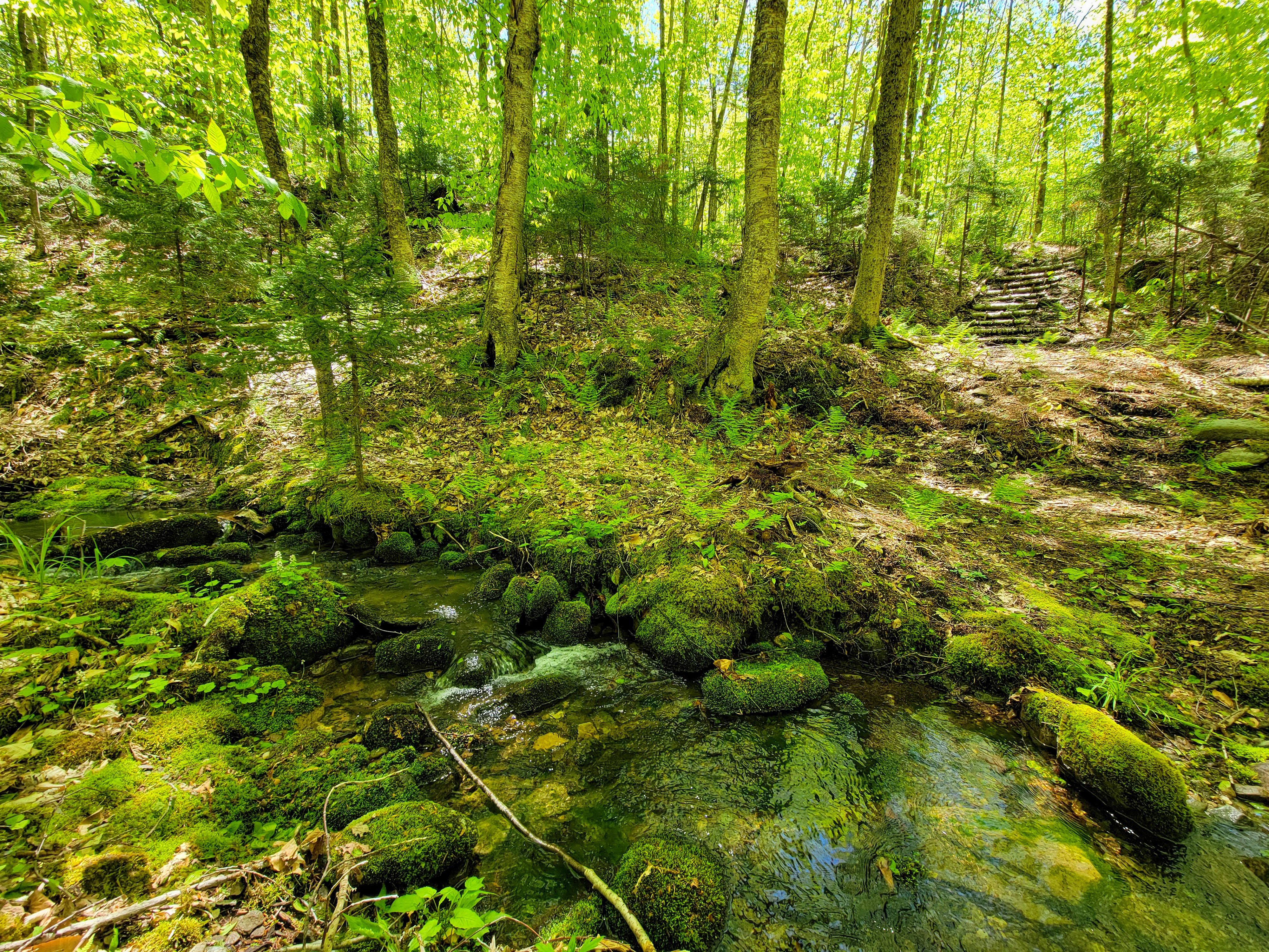 925 Hathaway Rd - Goshen