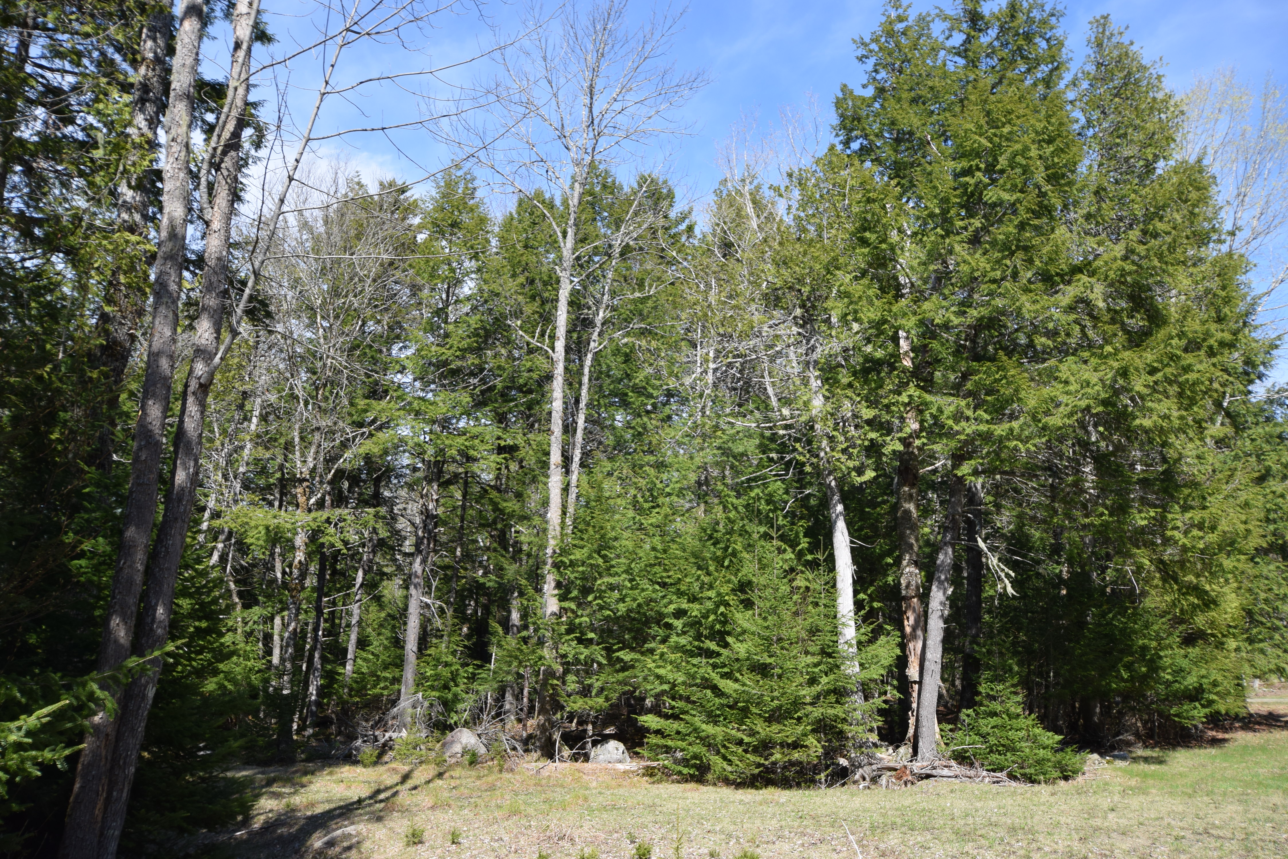 Long Lake Lot