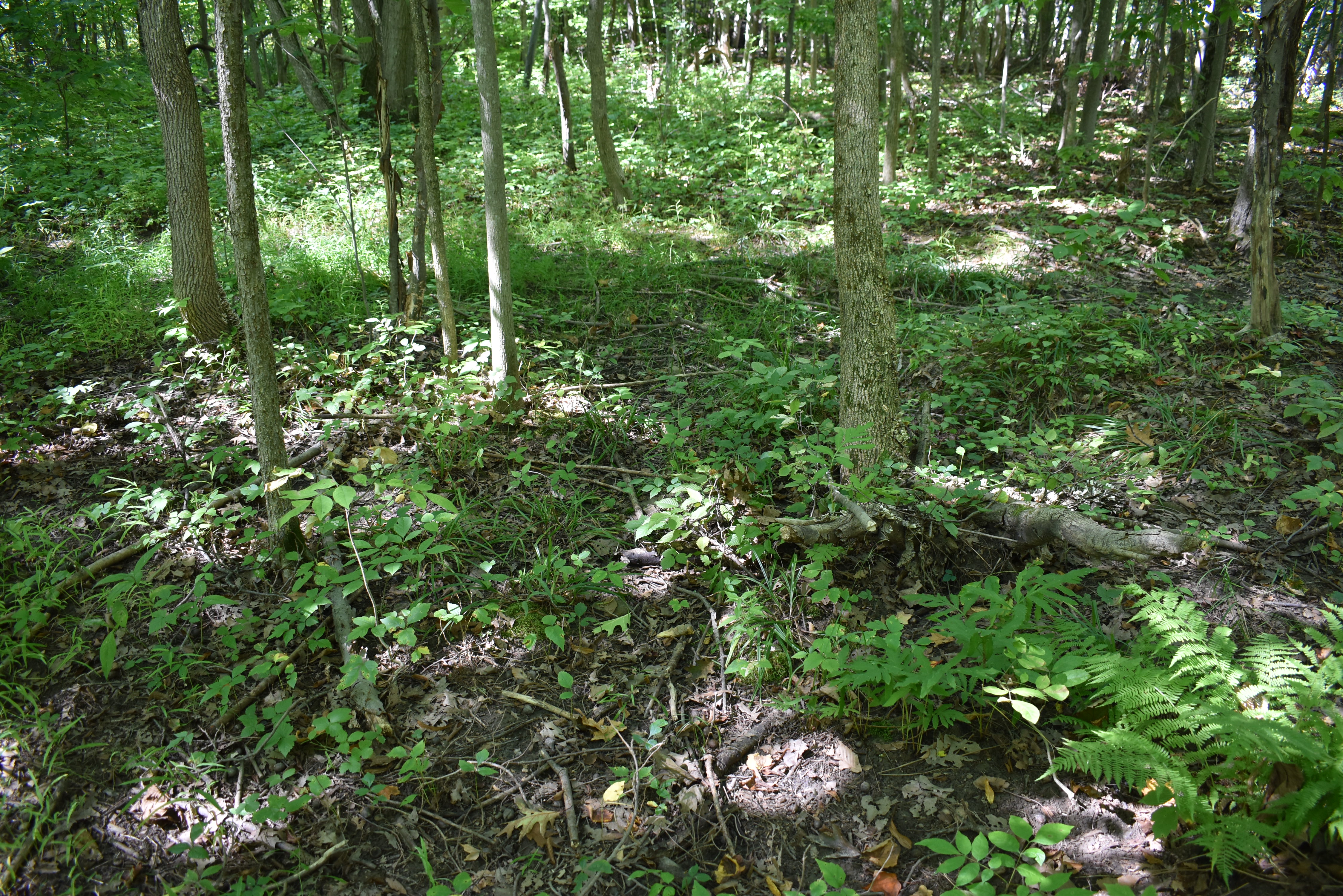 Hunter's Hidden Treasure