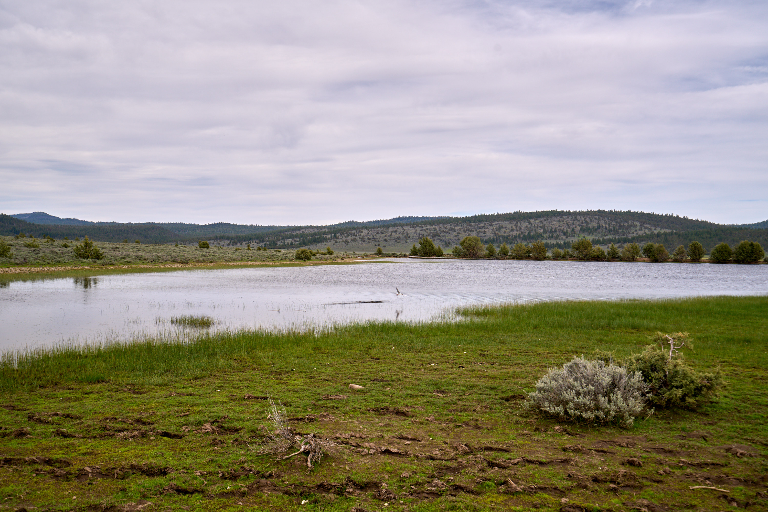 East Barnes Valley 240