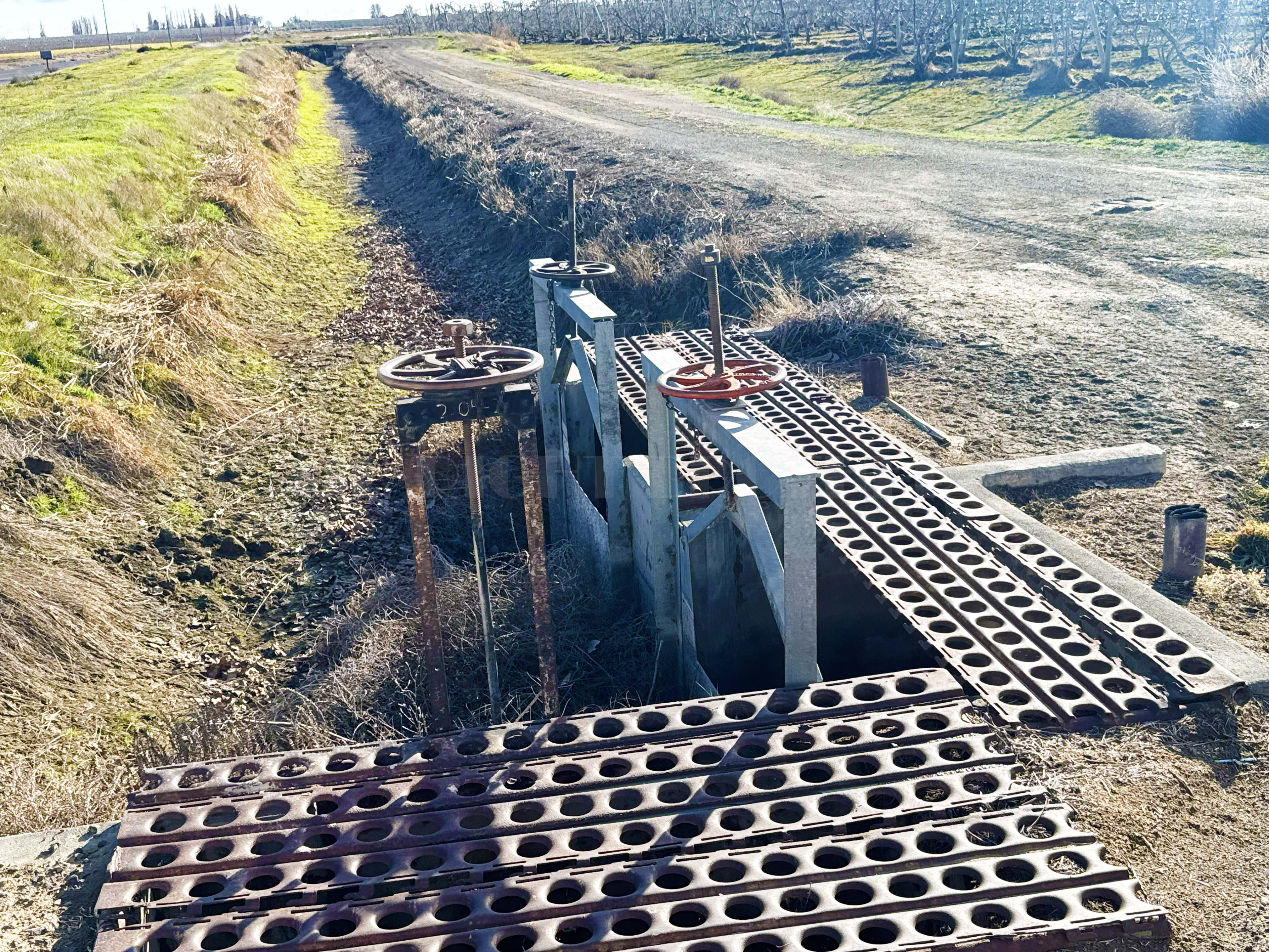 Fern Road Irrigated farm