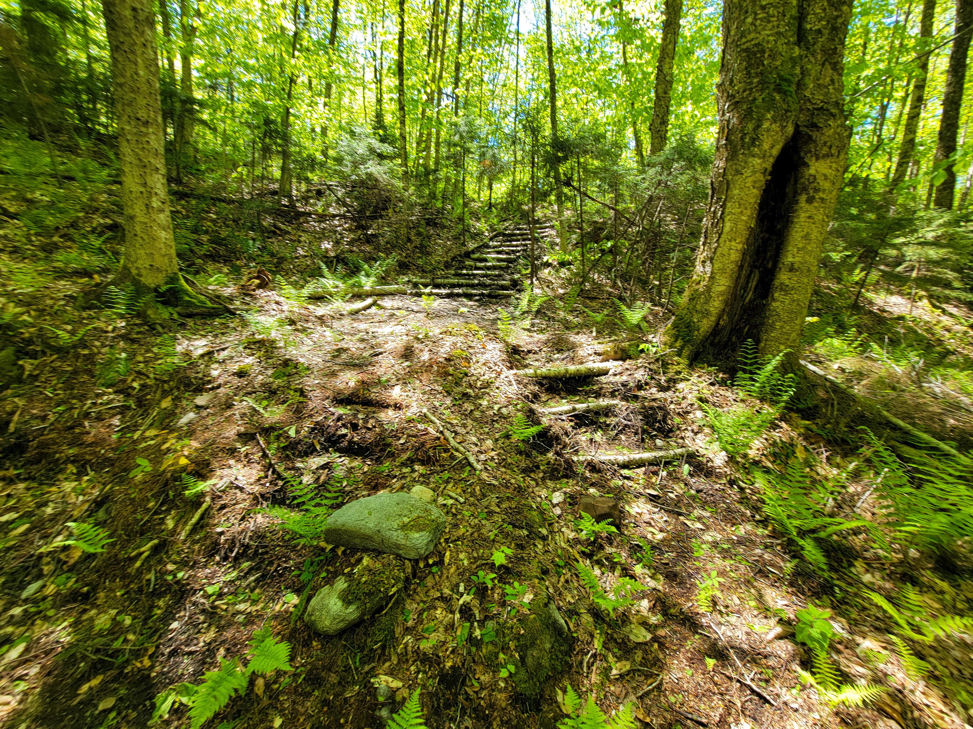925 Hathaway Rd - Goshen