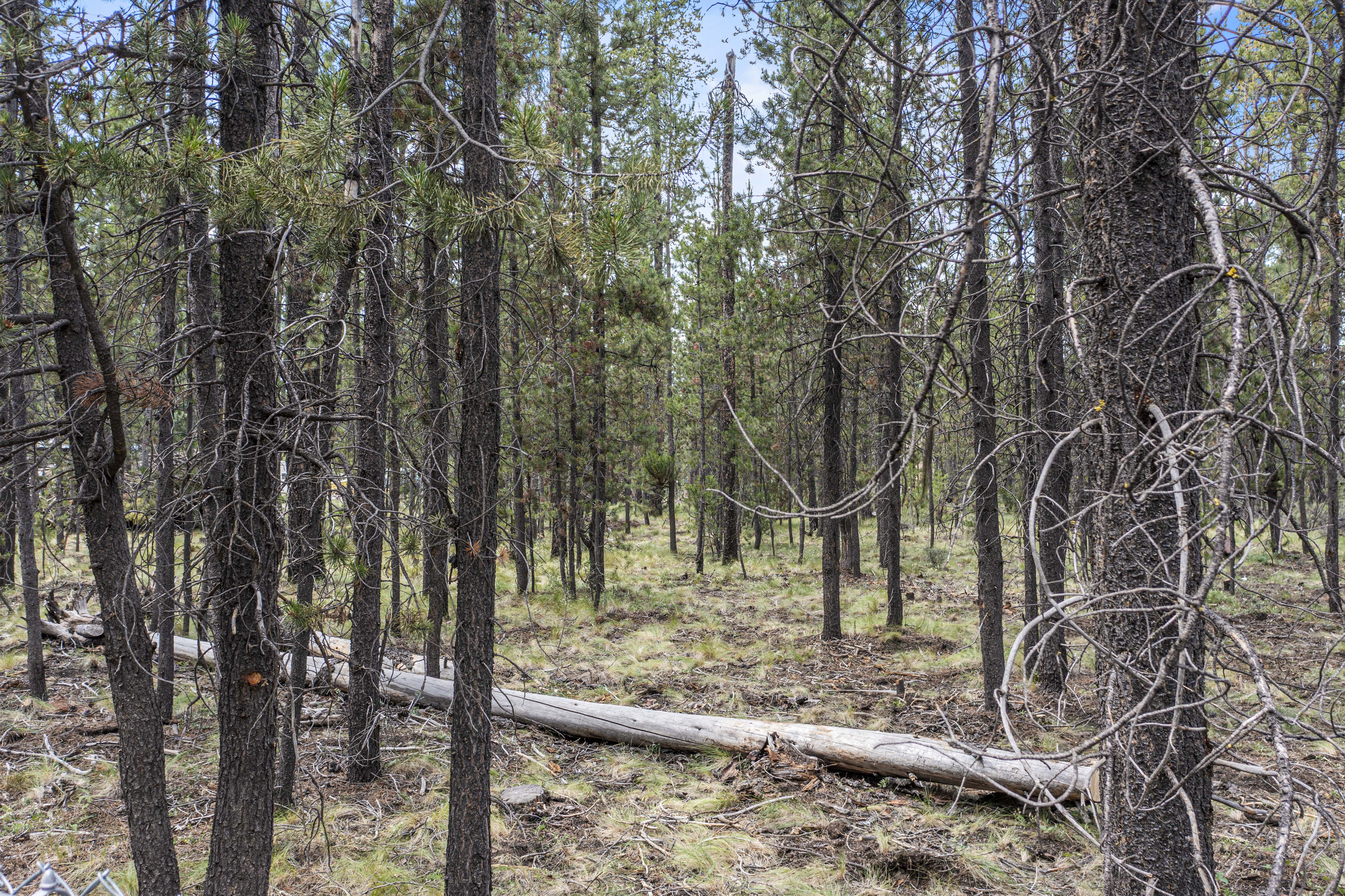 16927 Upland Rd – A Recreational Canvas in the Heart of Central Oregon