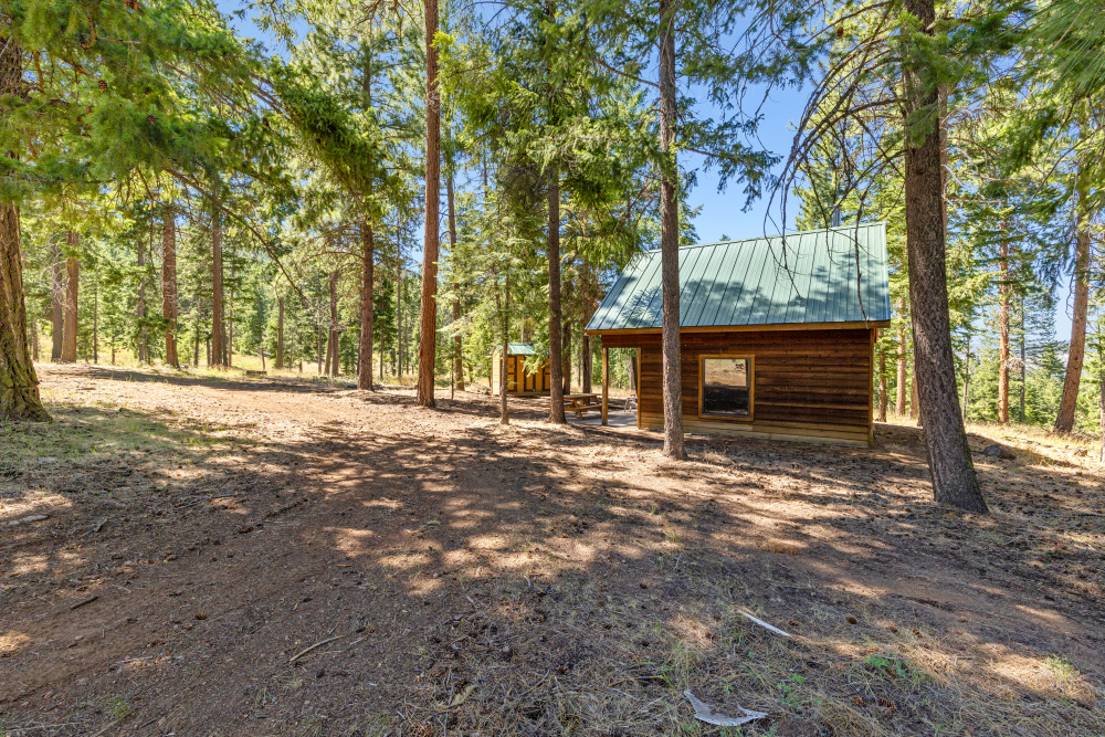 Listing Image 50