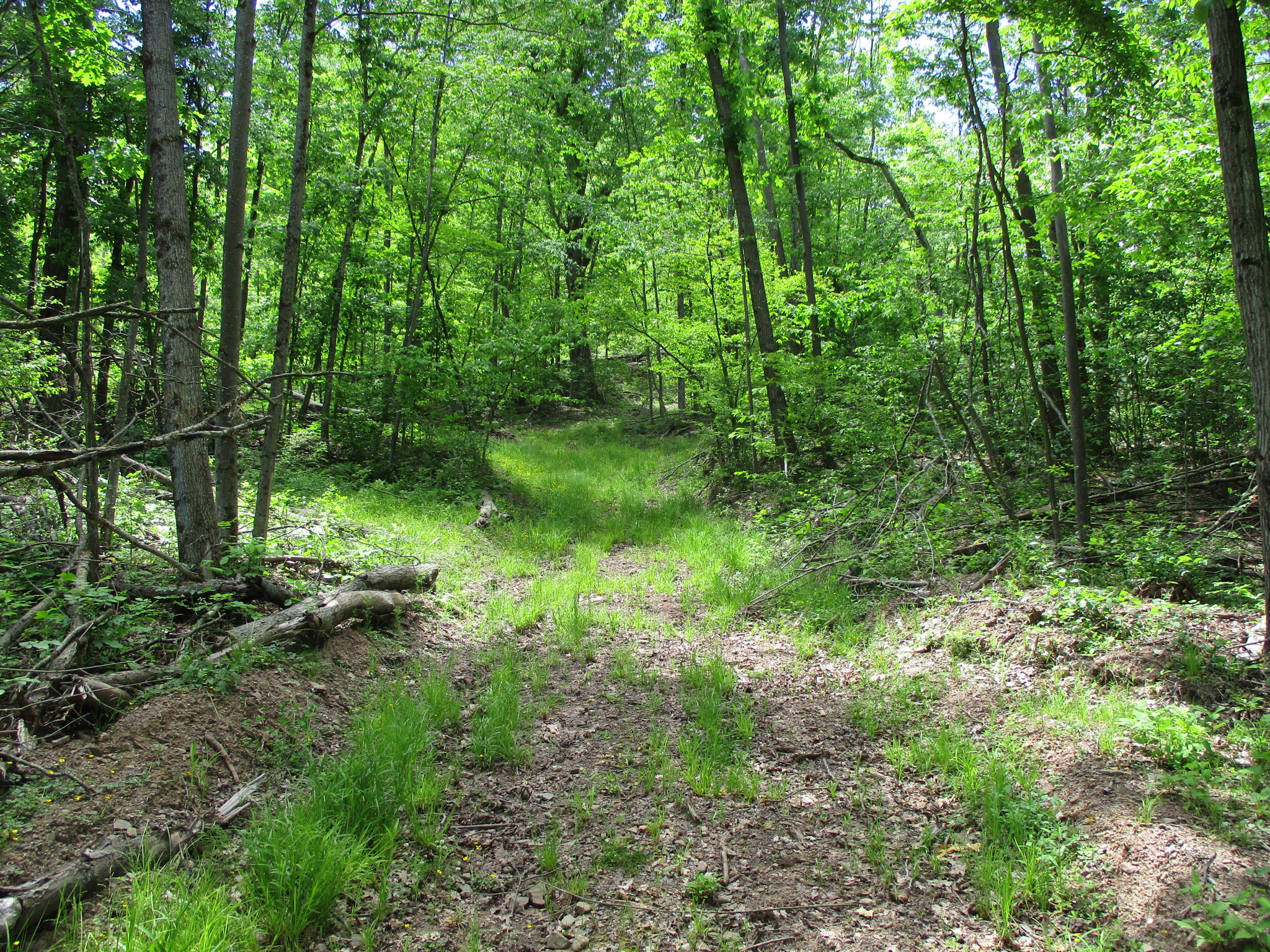 Listing Image 8