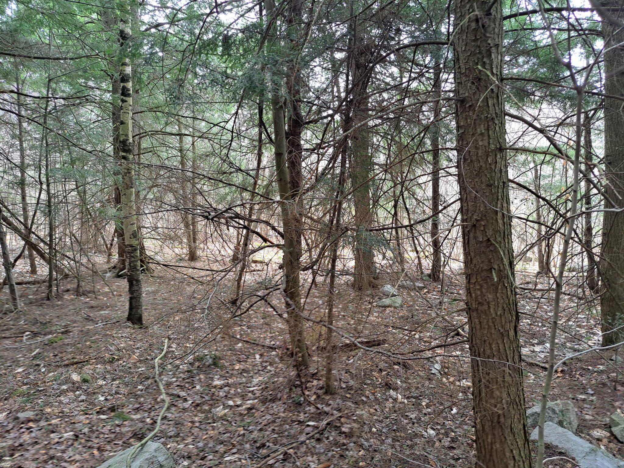 Listing Image 37