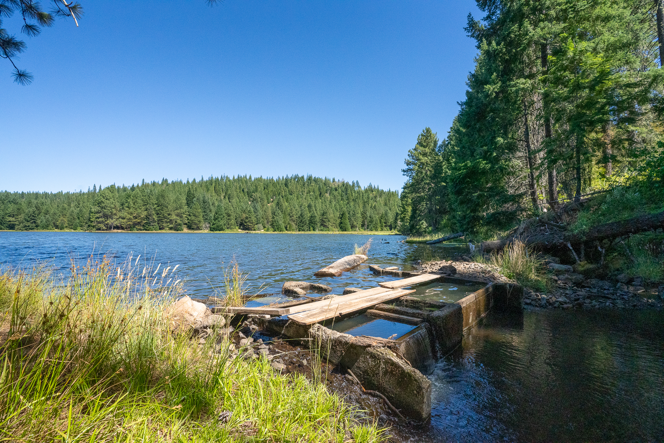 Medco Pond- Recreational Retreat