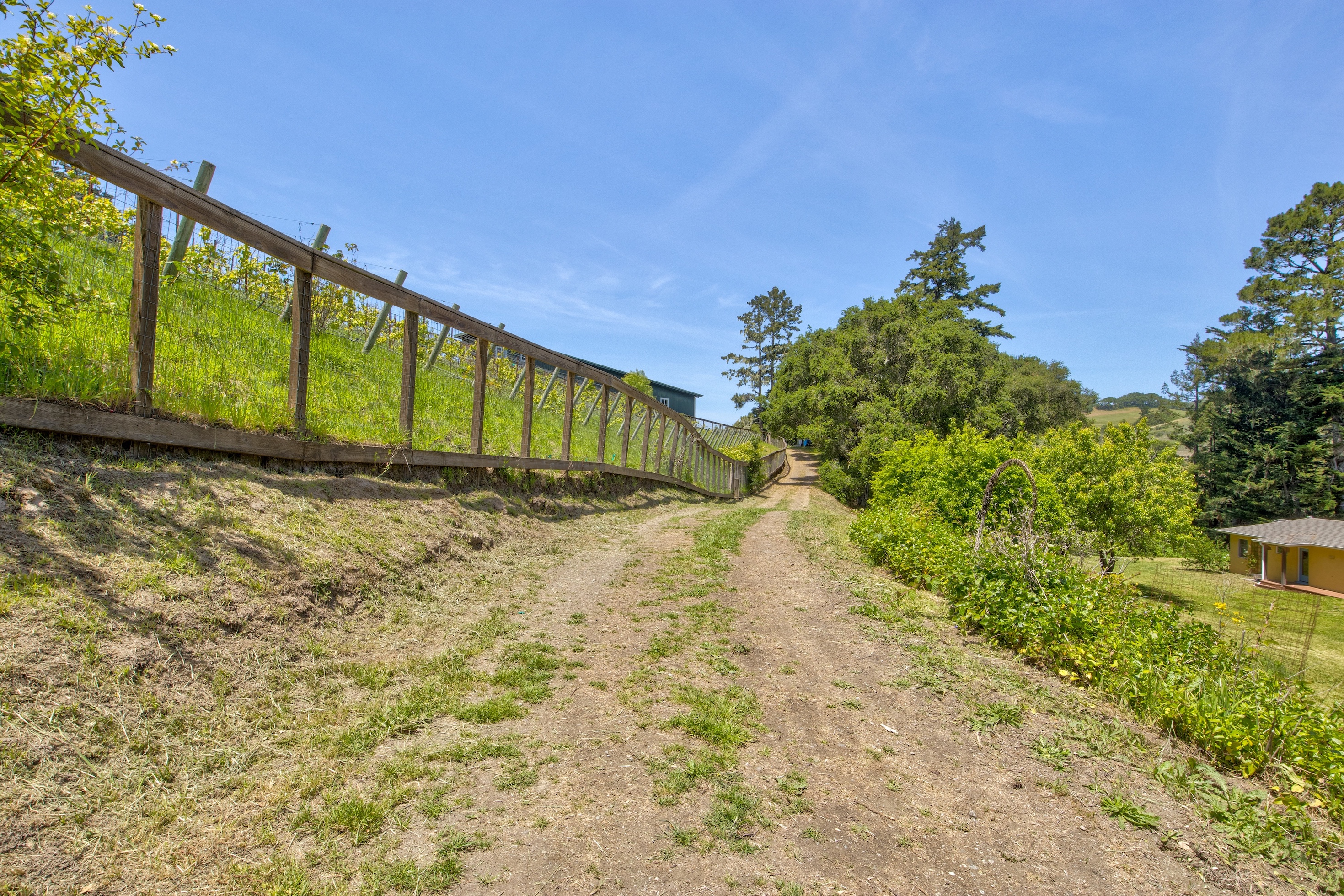 San Gregorio Creekside Farm