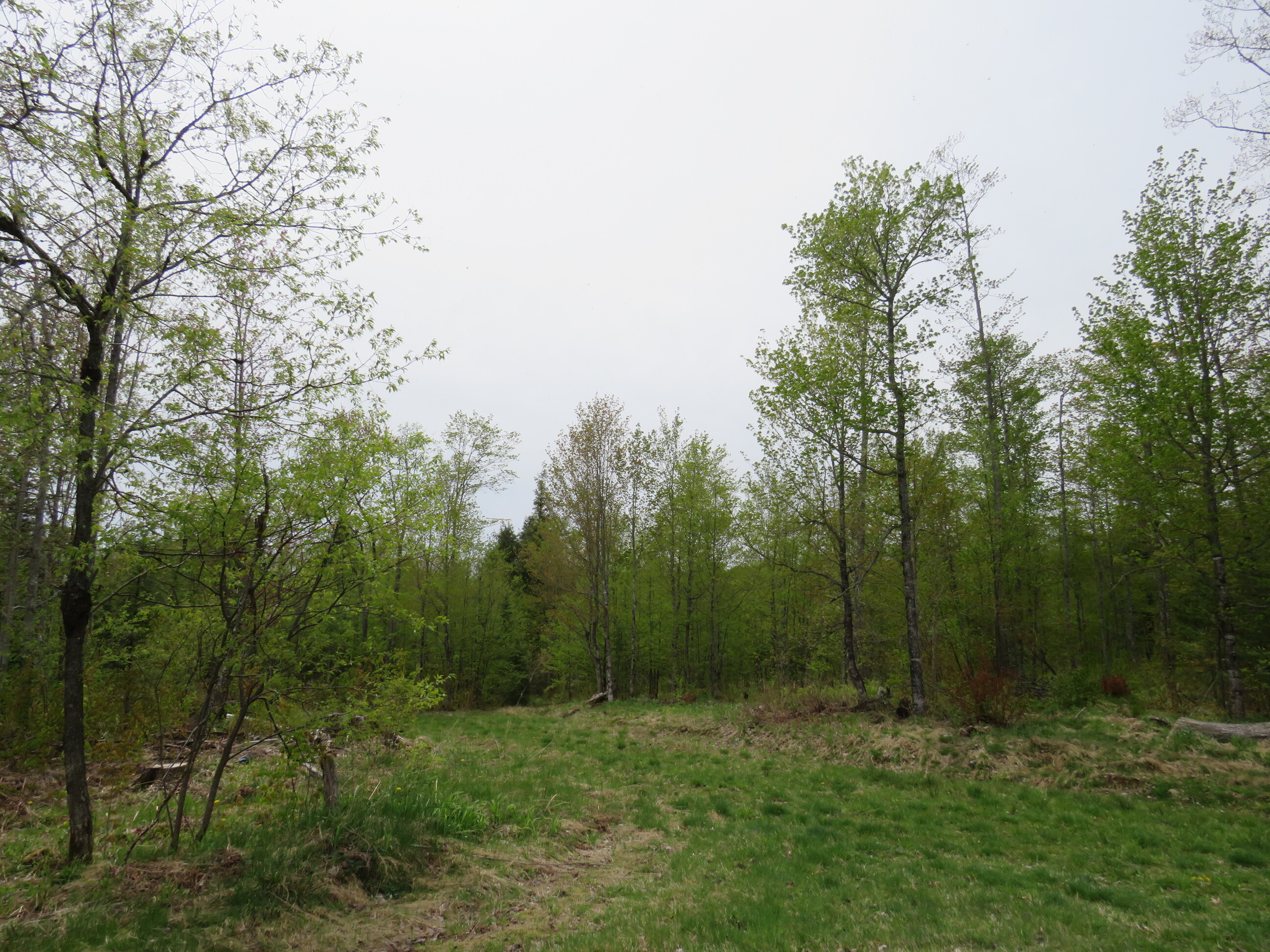 Michigan Recreational Property 50165363