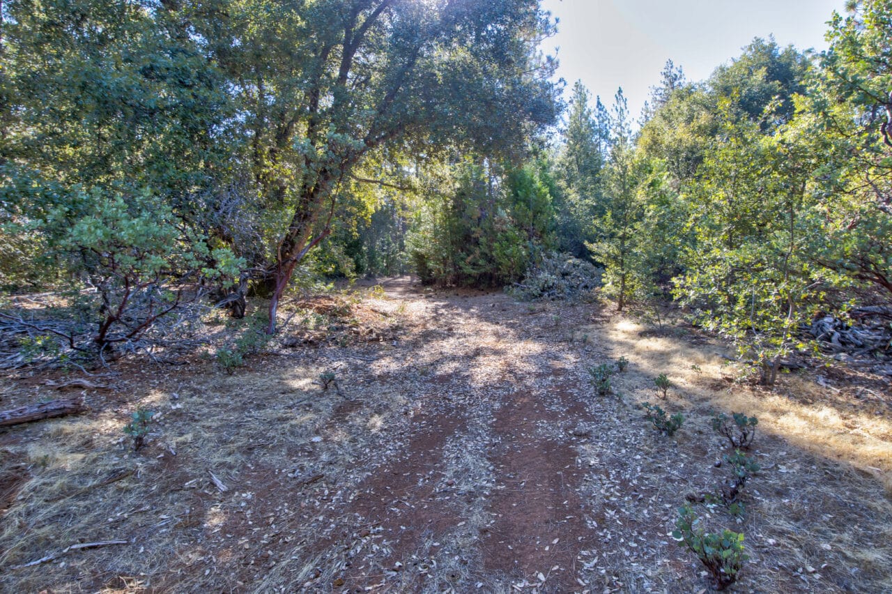 Listing Image 47